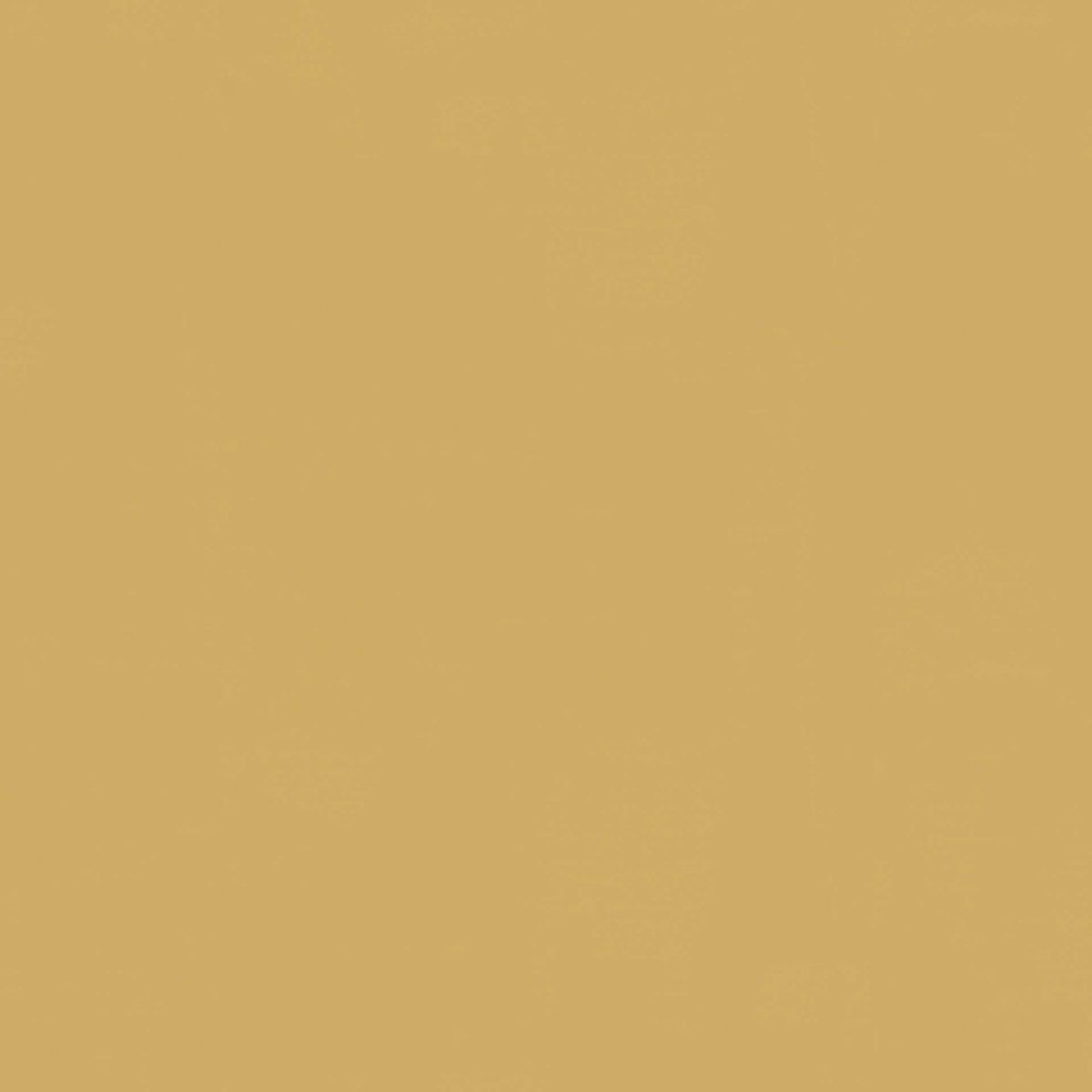 LinoWall xf² (2mm) Linowall HONEY 112