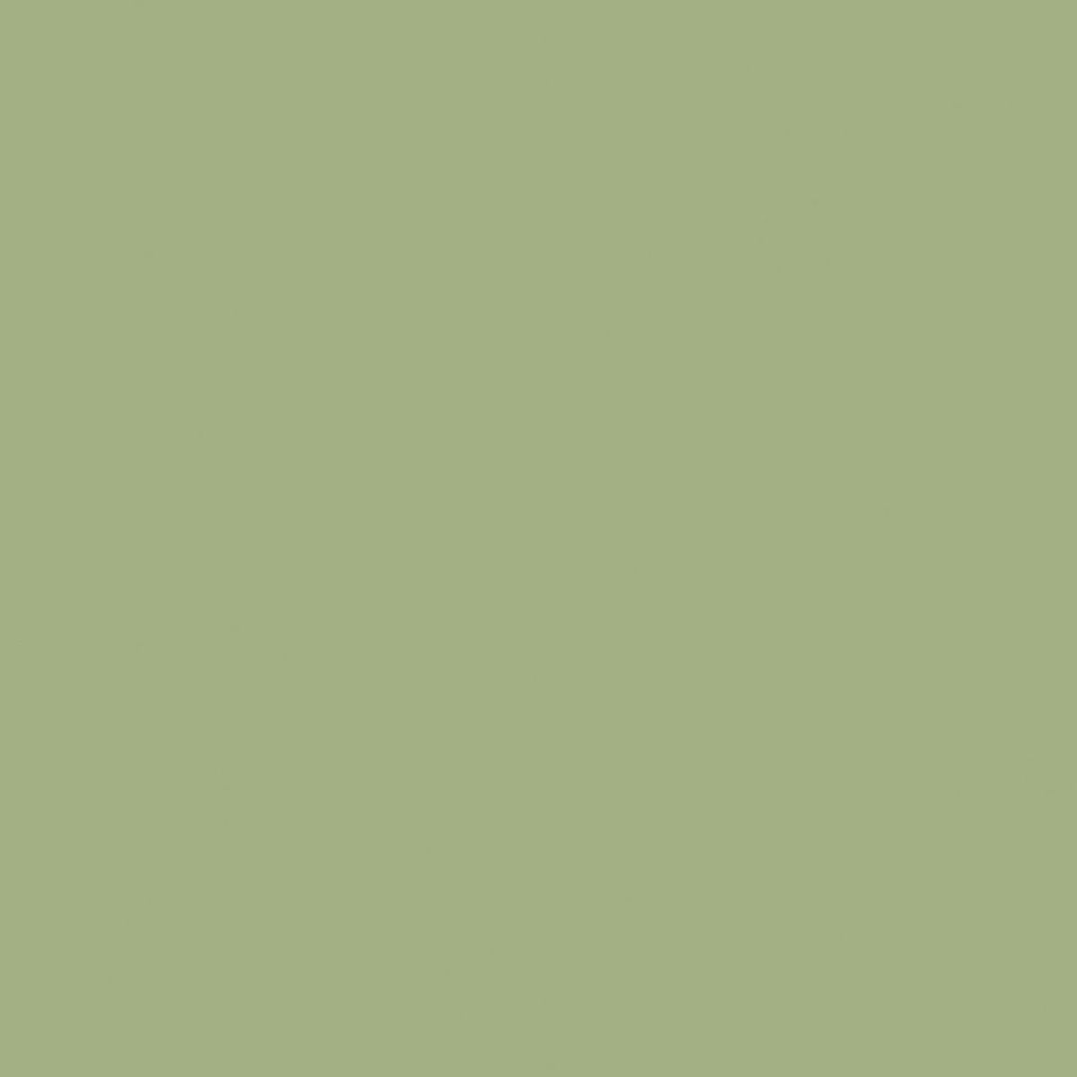 LinoWall xf² (2mm) Linowall OLIVE 155