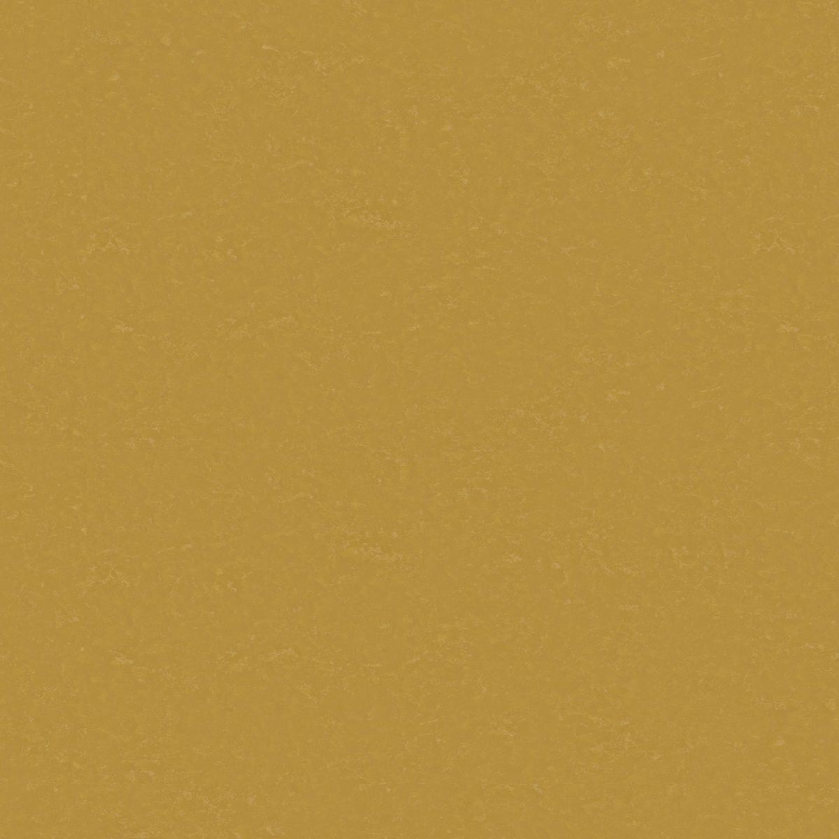 Originale xf² (2.5mm) Originale OCHRE