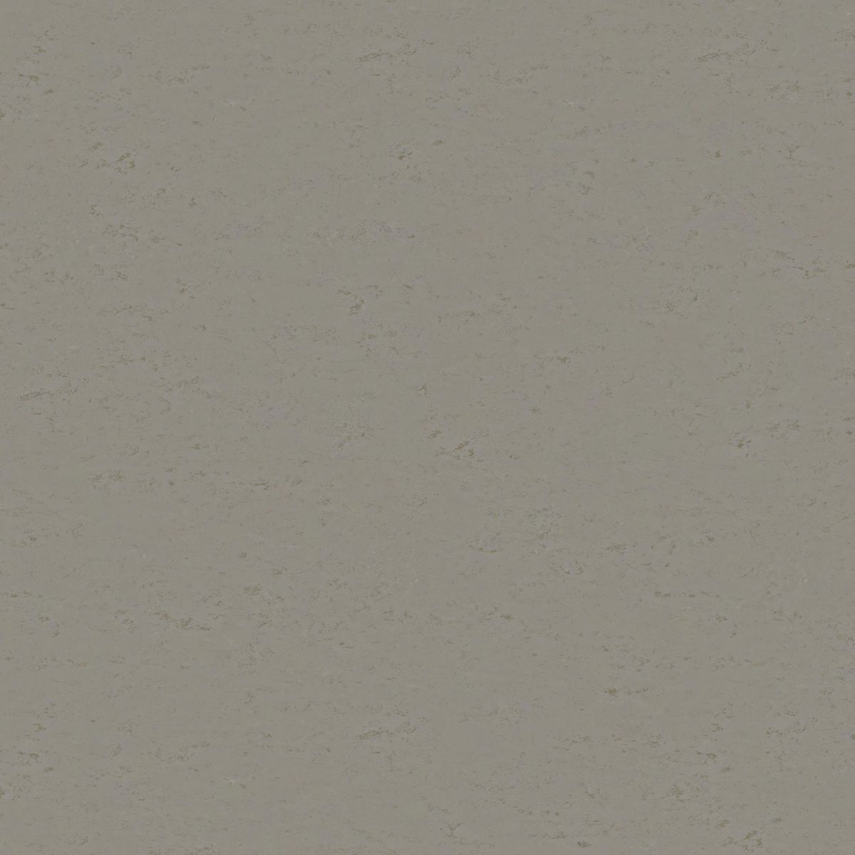 Originale xf² (2.5mm) Originale CLIFF