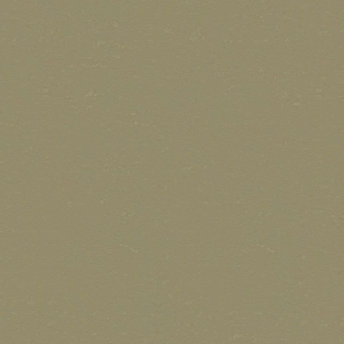 Originale xf² (2.5mm) Originale LICHEN