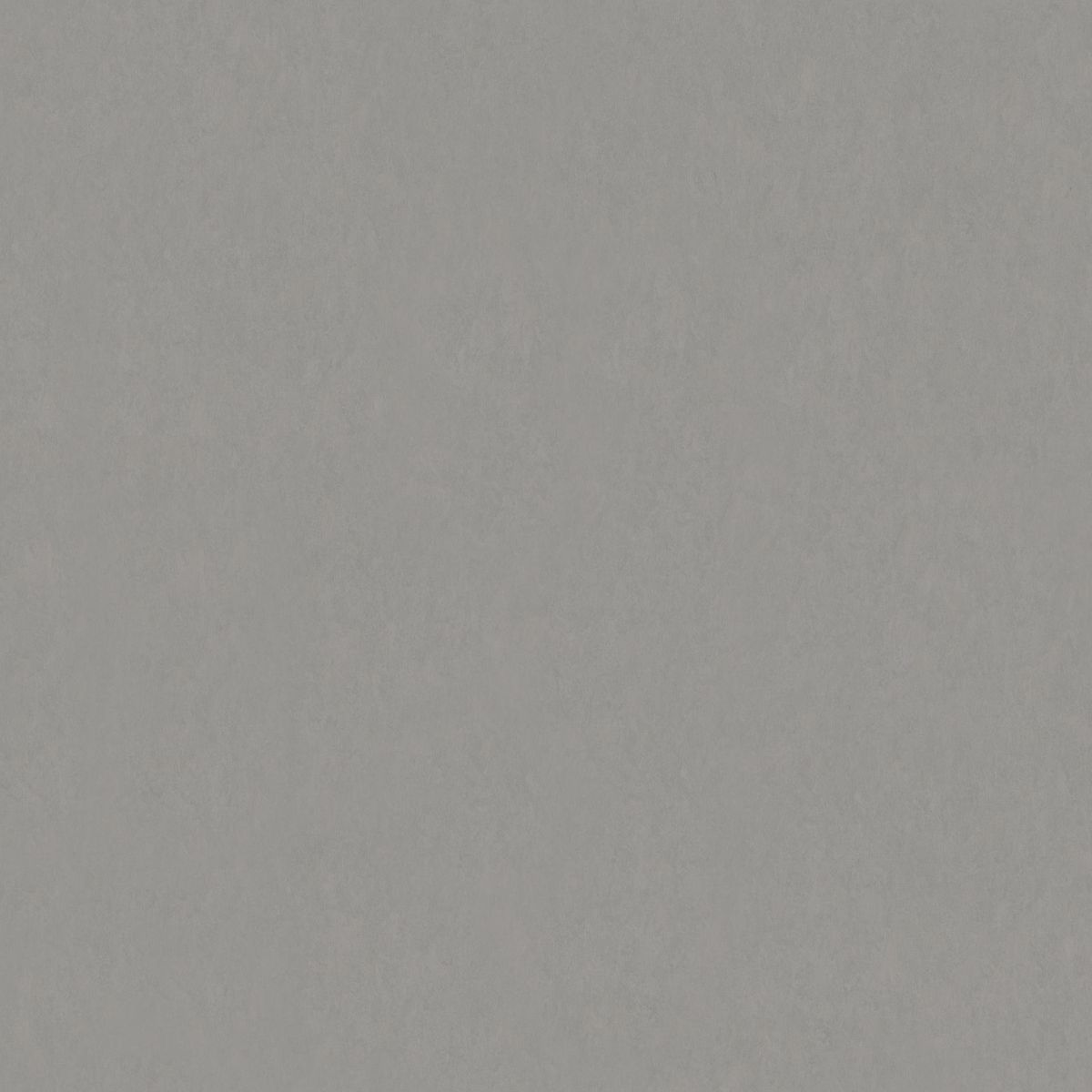 Style Emme xf² (2.5 mm) Style Emme CEMENTO 202