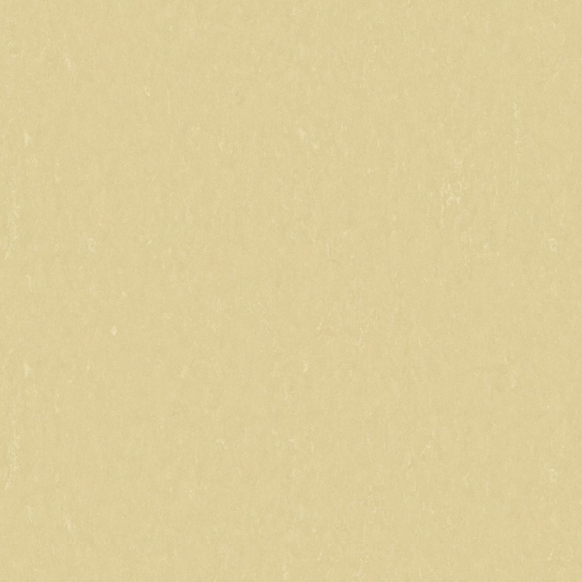 Style Emme xf² (2.5 mm) Style Emme TAN 719