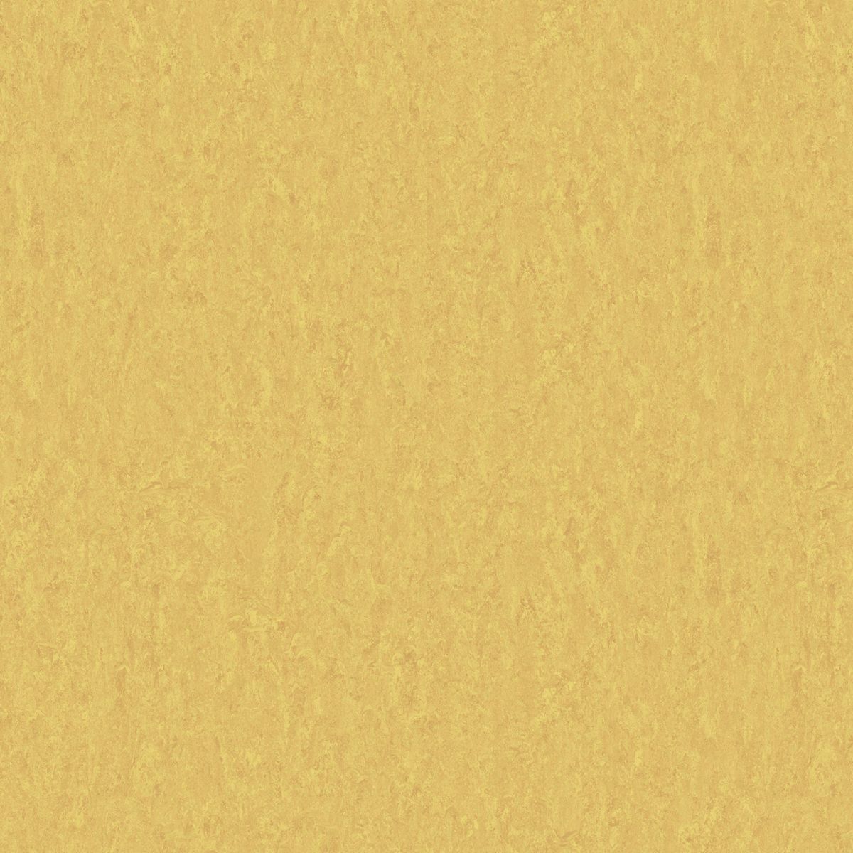 Style Emme xf² (2.5 mm) Style Emme GOLD 728