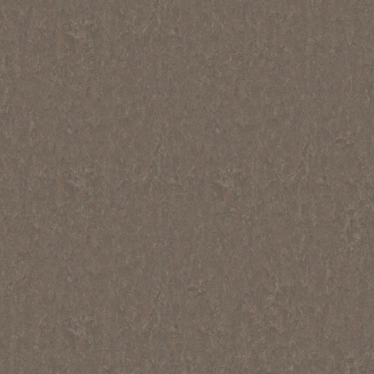 Style Emme xf² (2.5 mm) Style Emme CEDAR 732