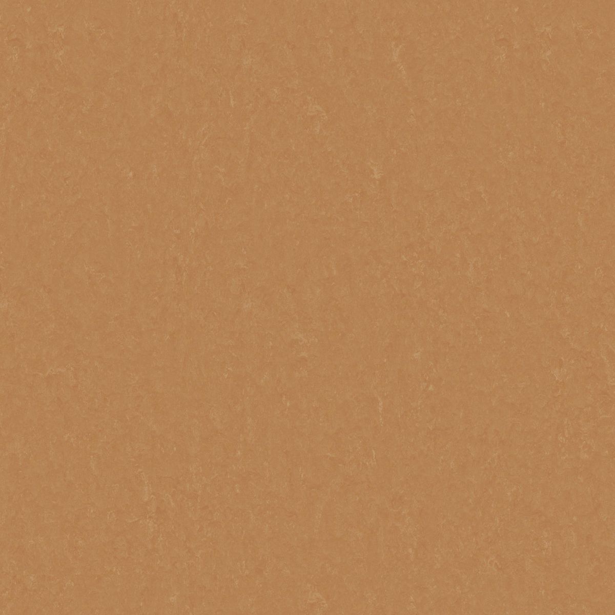 Style Emme xf² (2.5 mm) Style Emme FOX 734