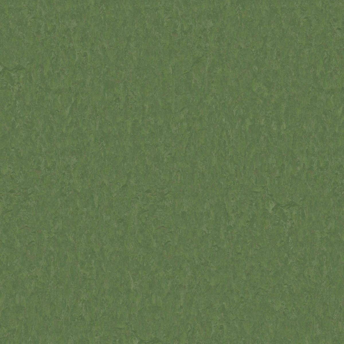 Style Emme xf² (2.5 mm) Style Emme PINE 796