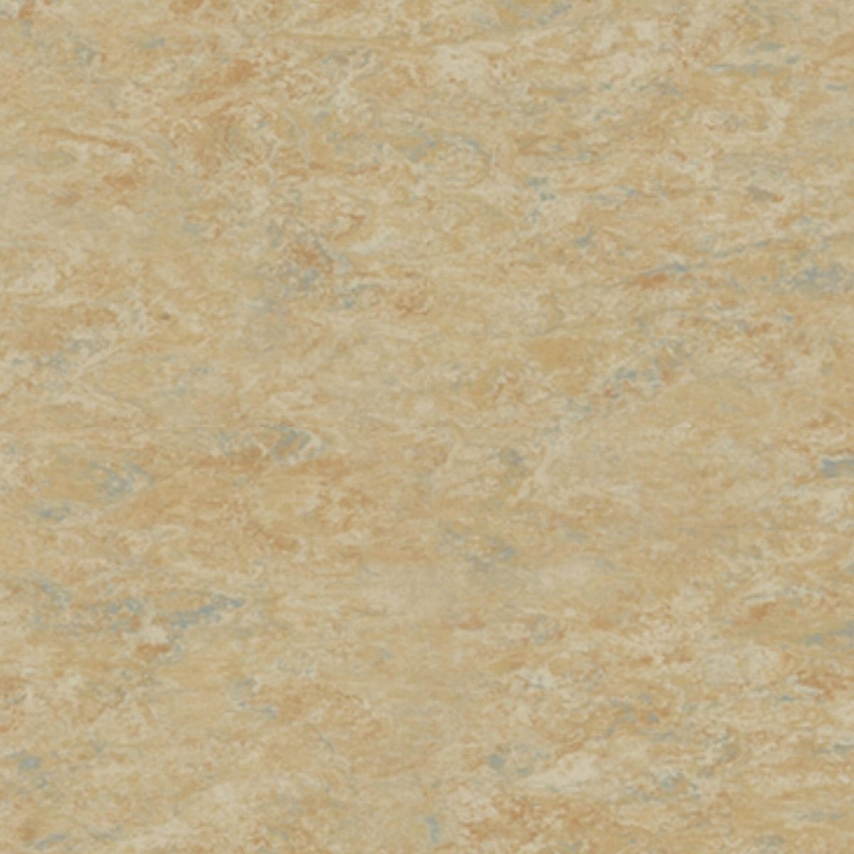 Veneto CAMEL 616