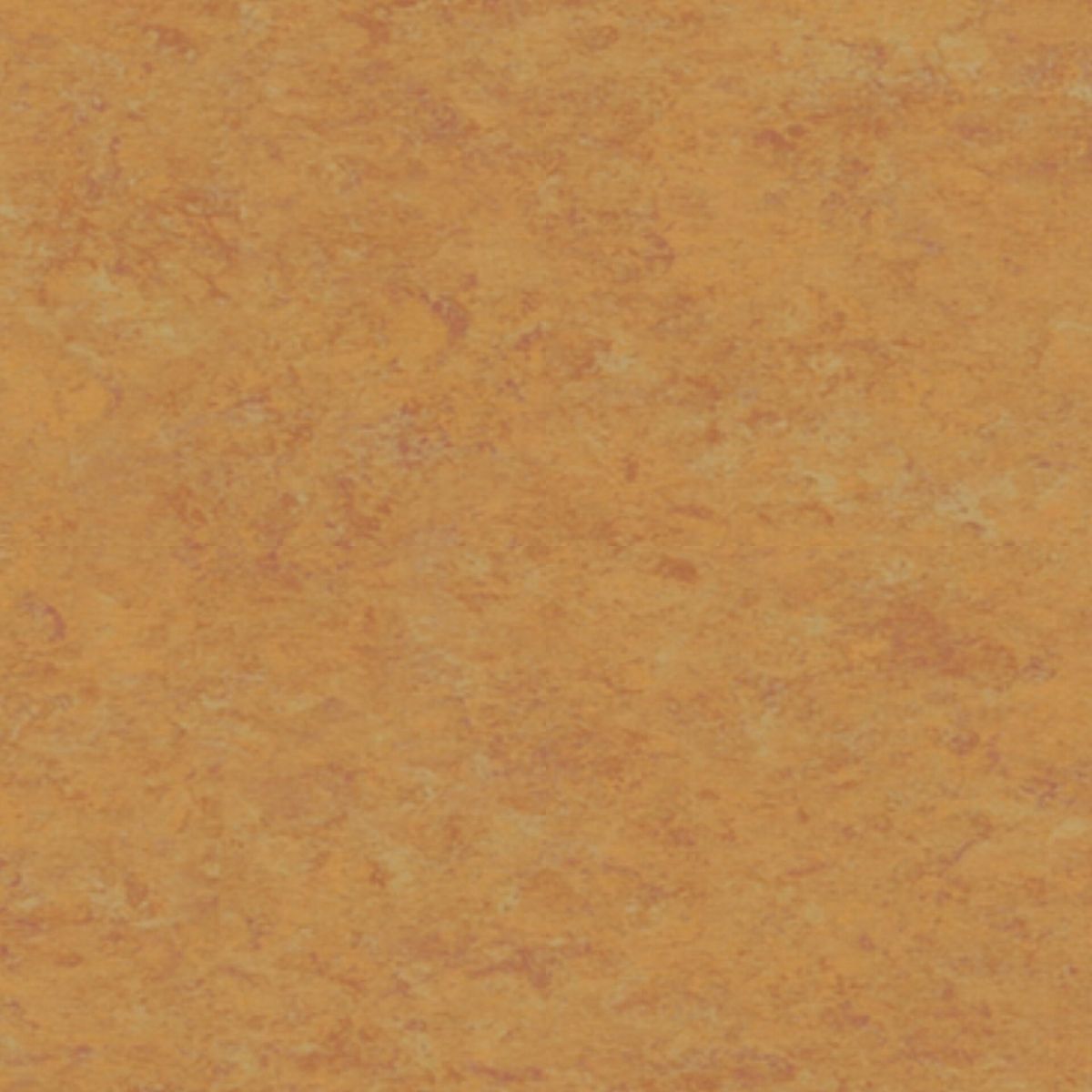 Veneto AMBER 636