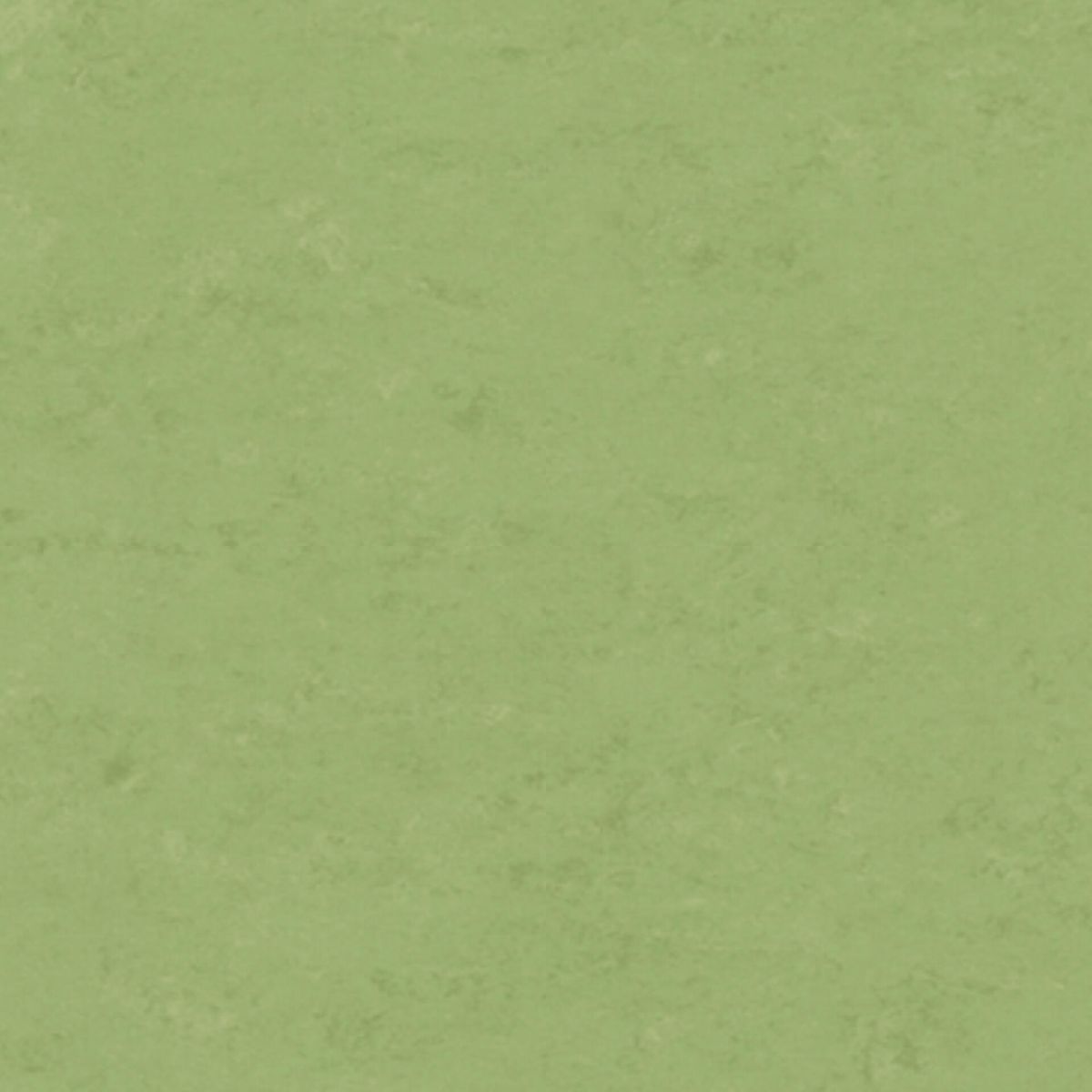 Veneto APPLE GREEN 754