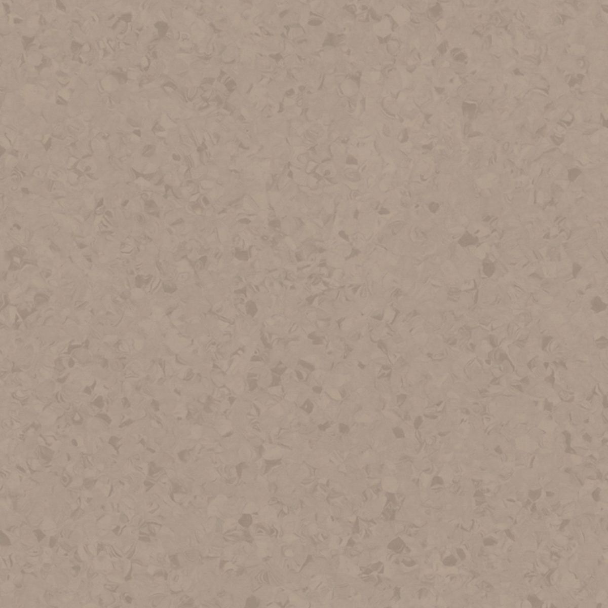iQ Surface Surface SOLID POWDER