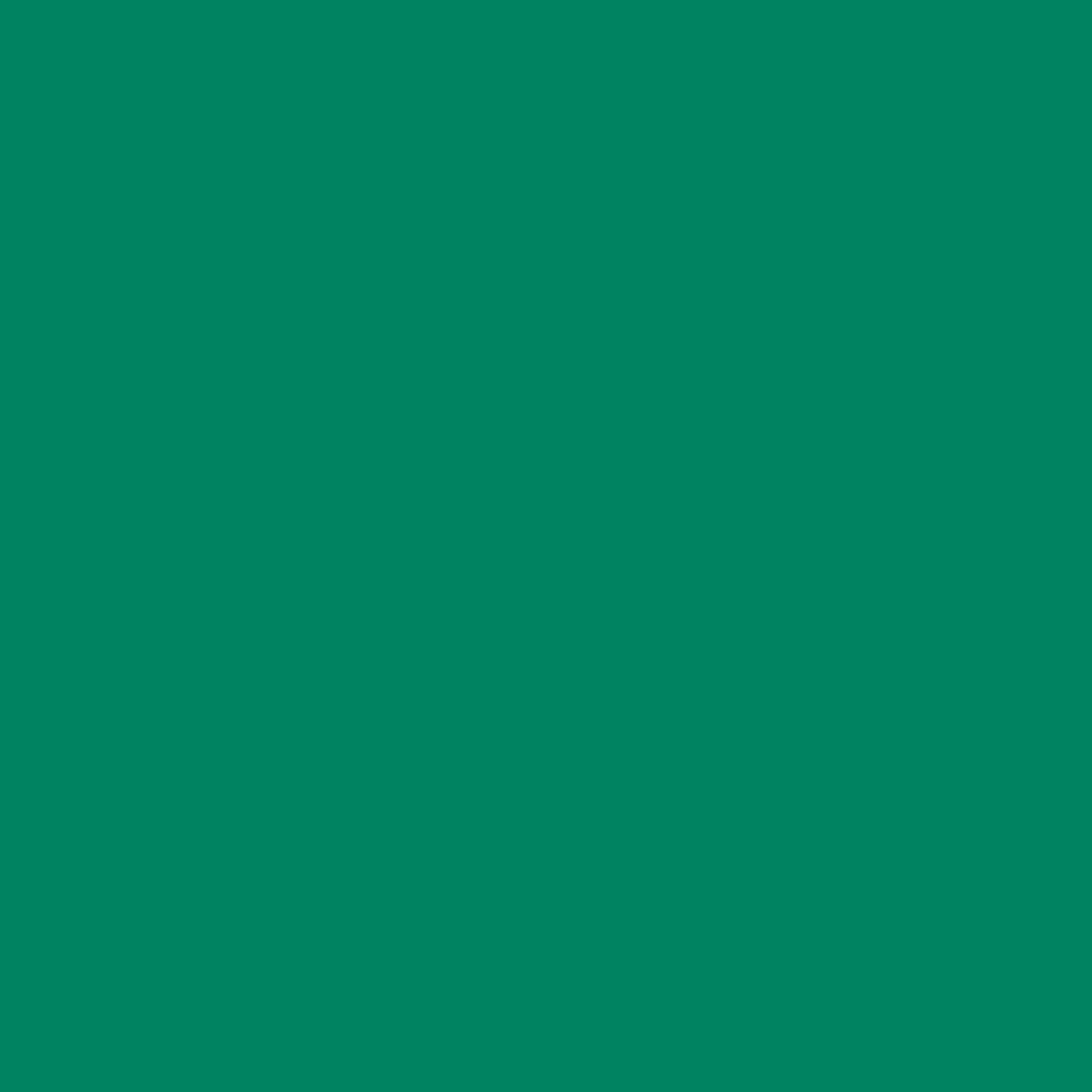 Omnisports Reference Multi-Use Uni MINT GREEN