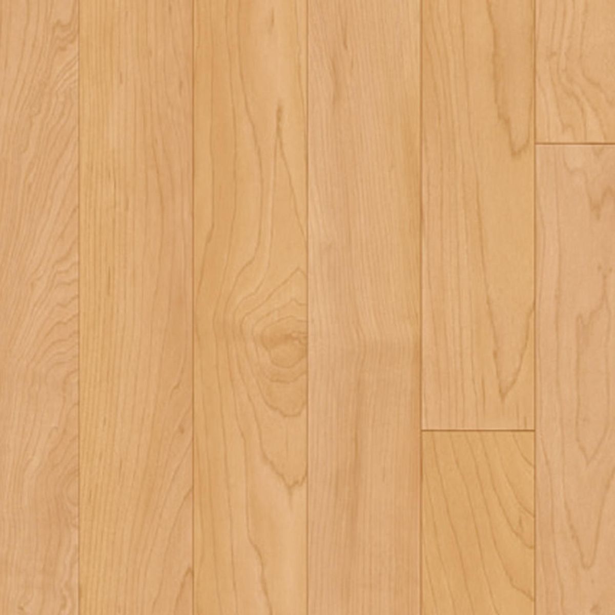 Omnisports Active + Maple GOLDEN MAPLE