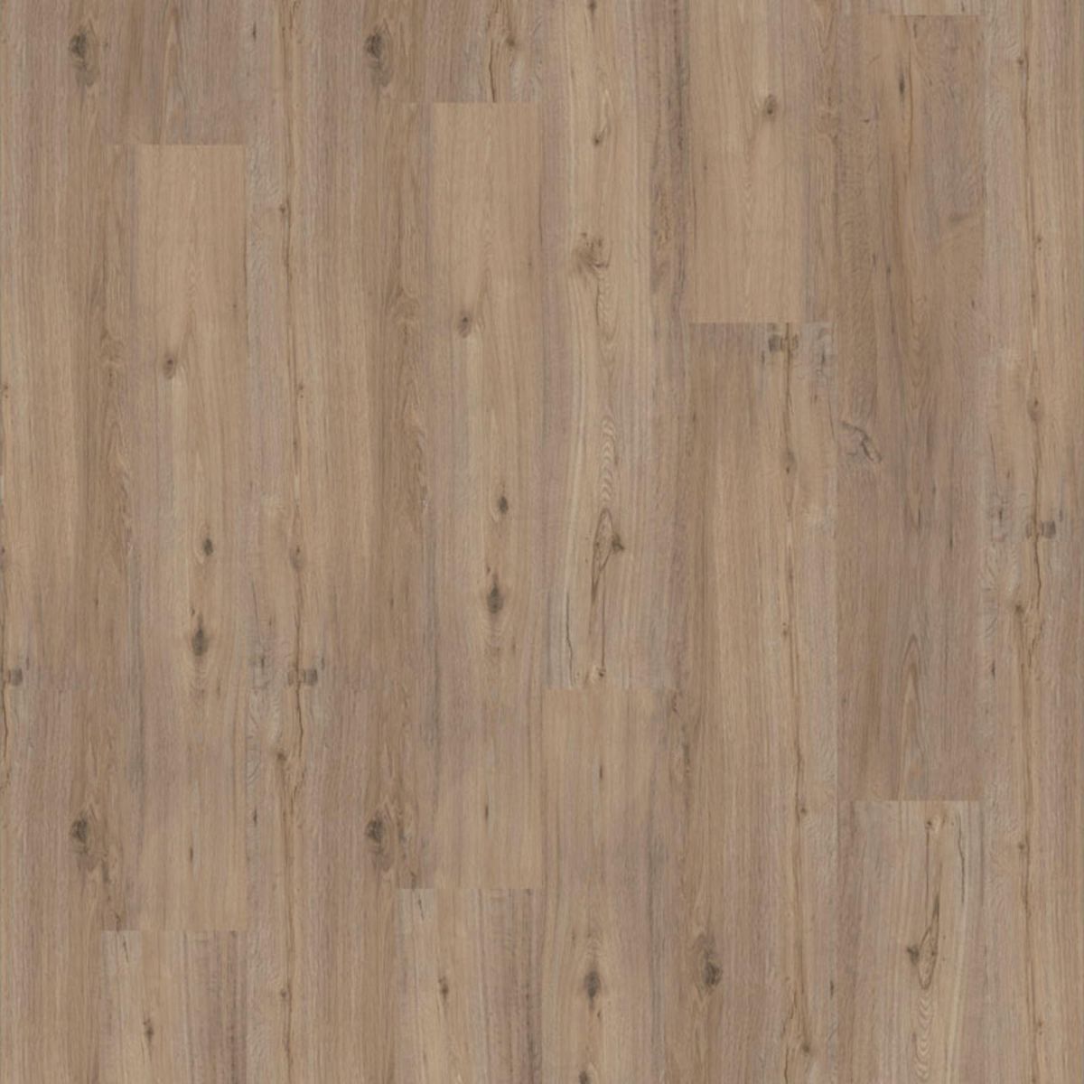 iD Essential 30 Soft Oak LIGHT GREY