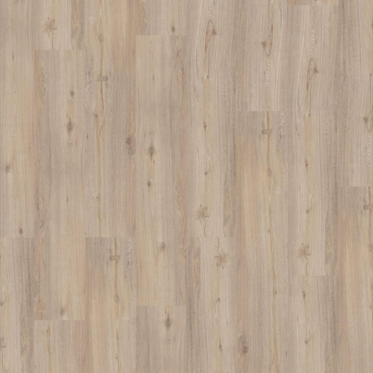 iD Essential 30 Soft Oak LIGHT BEIGE