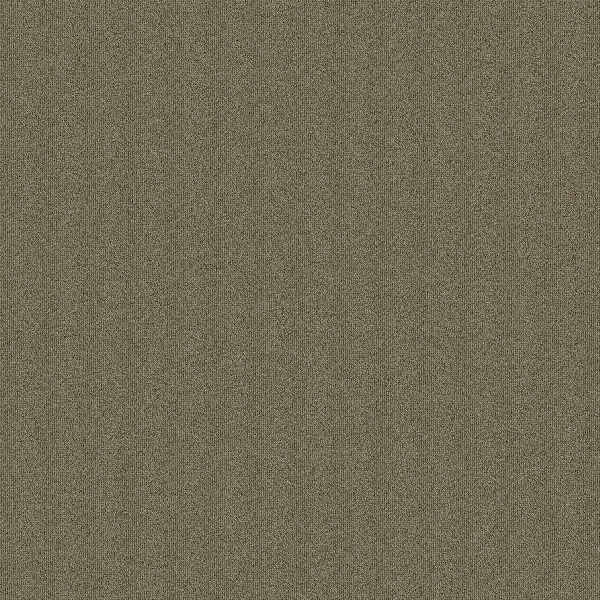 Powerbond - Plexus Colour IV Plexus Colour IV 02875 DOVE COTE 18576