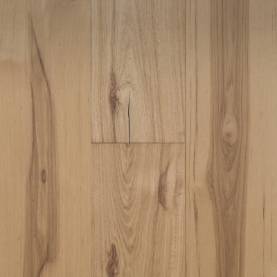 Hickory Impressions Classique Image