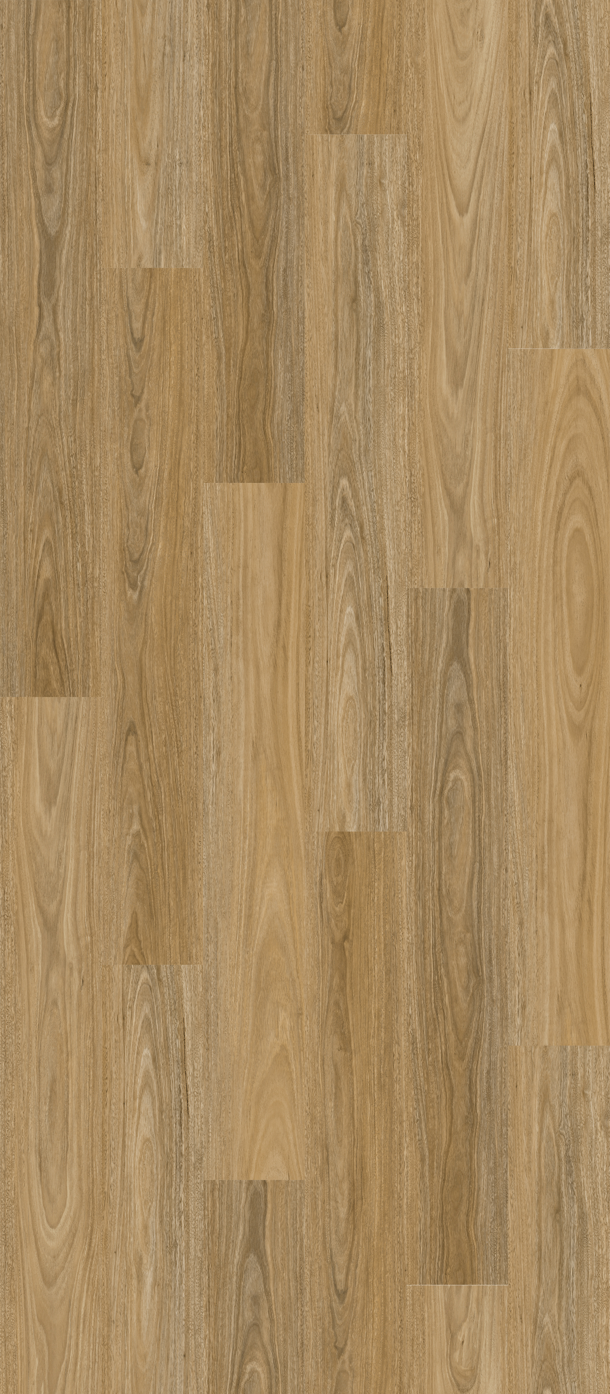 ILLUSION PLANKS Illusions Native Spotted Gum