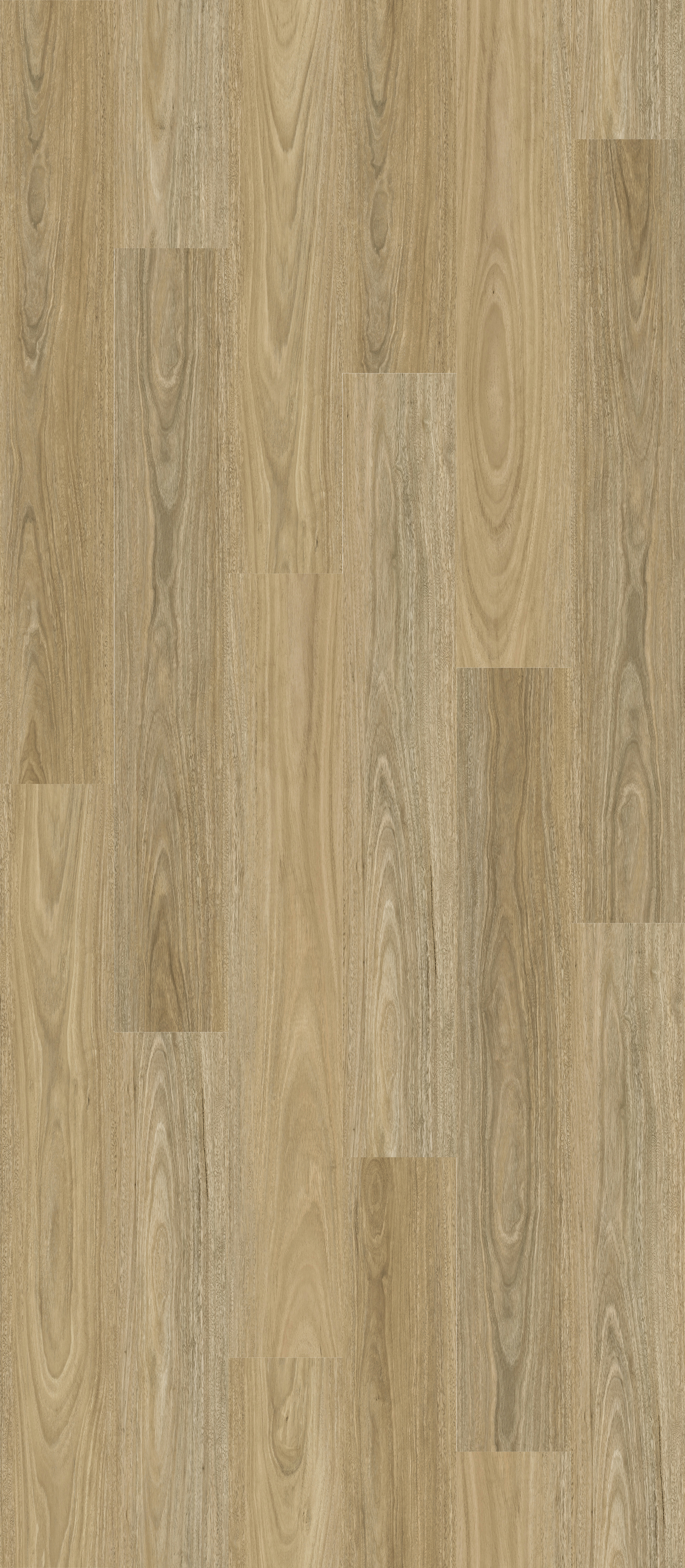 SUNVISTA 013