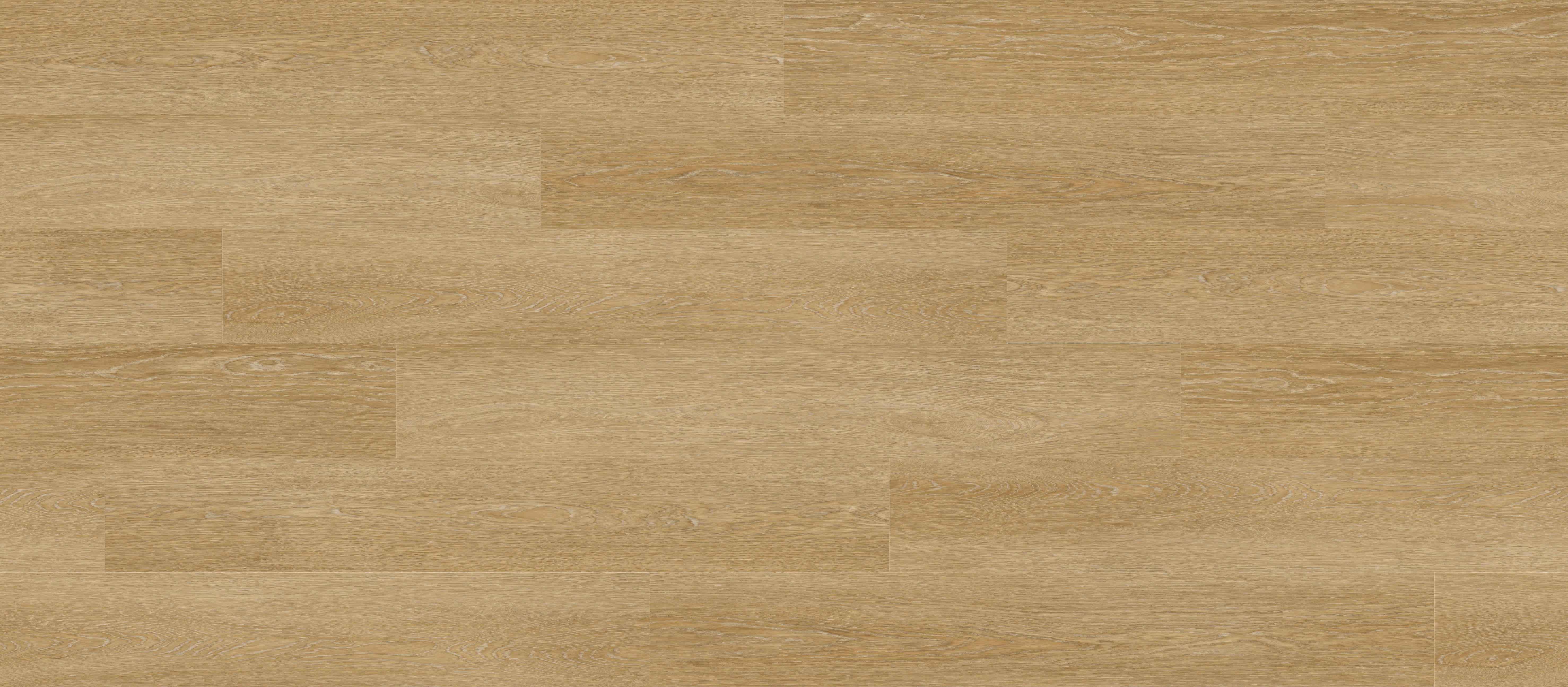 SUNVISTA 073