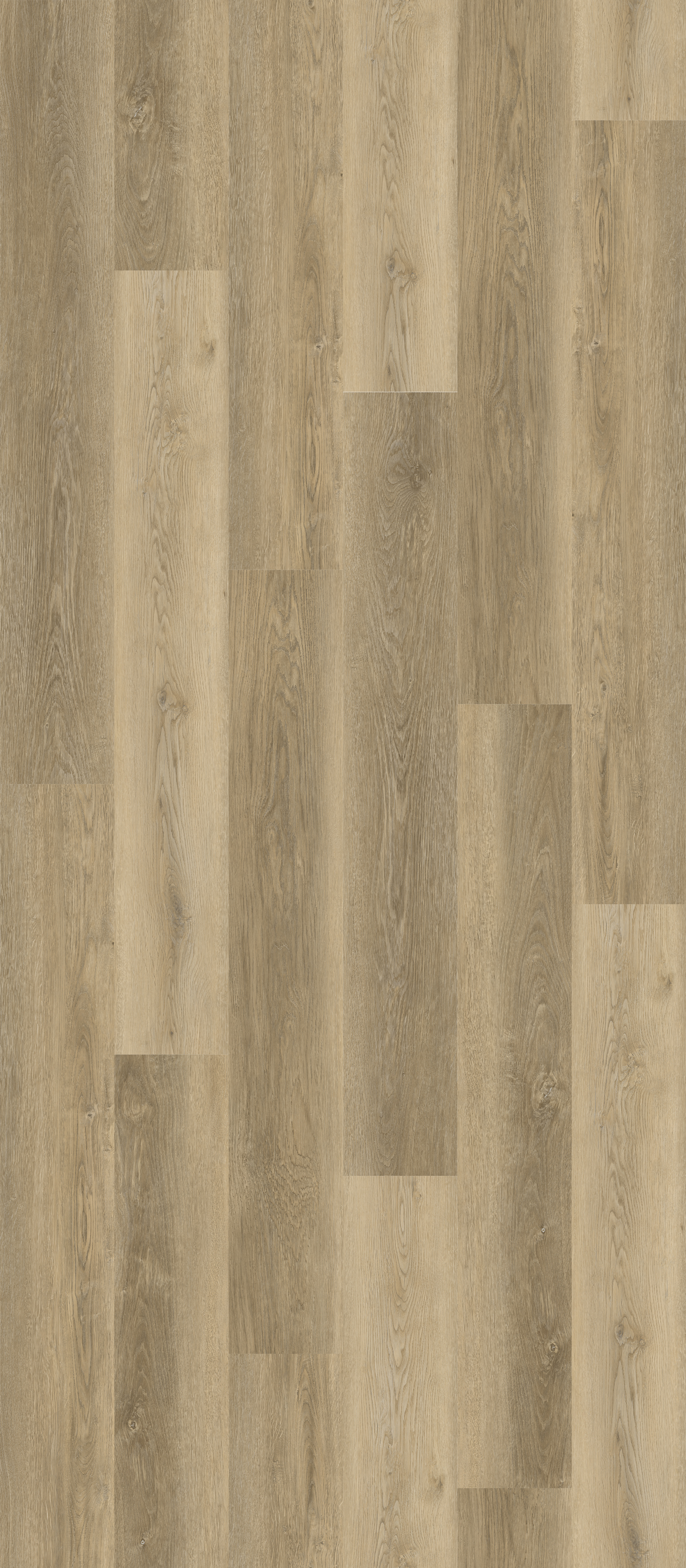 SUNVISTA 715