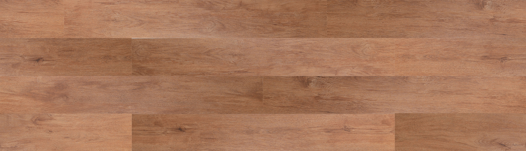SUNVISTA 018