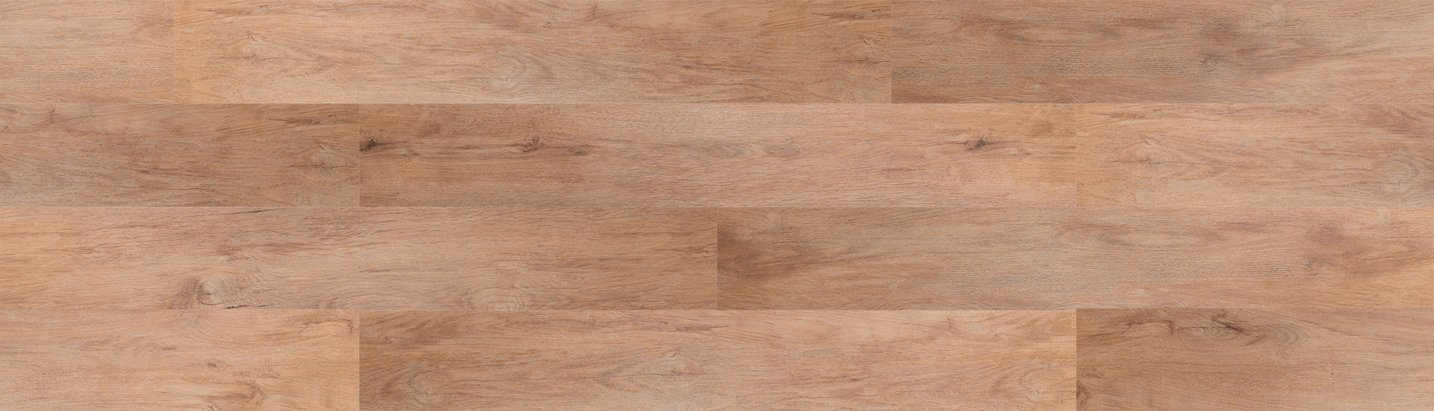 SUNVISTA 019