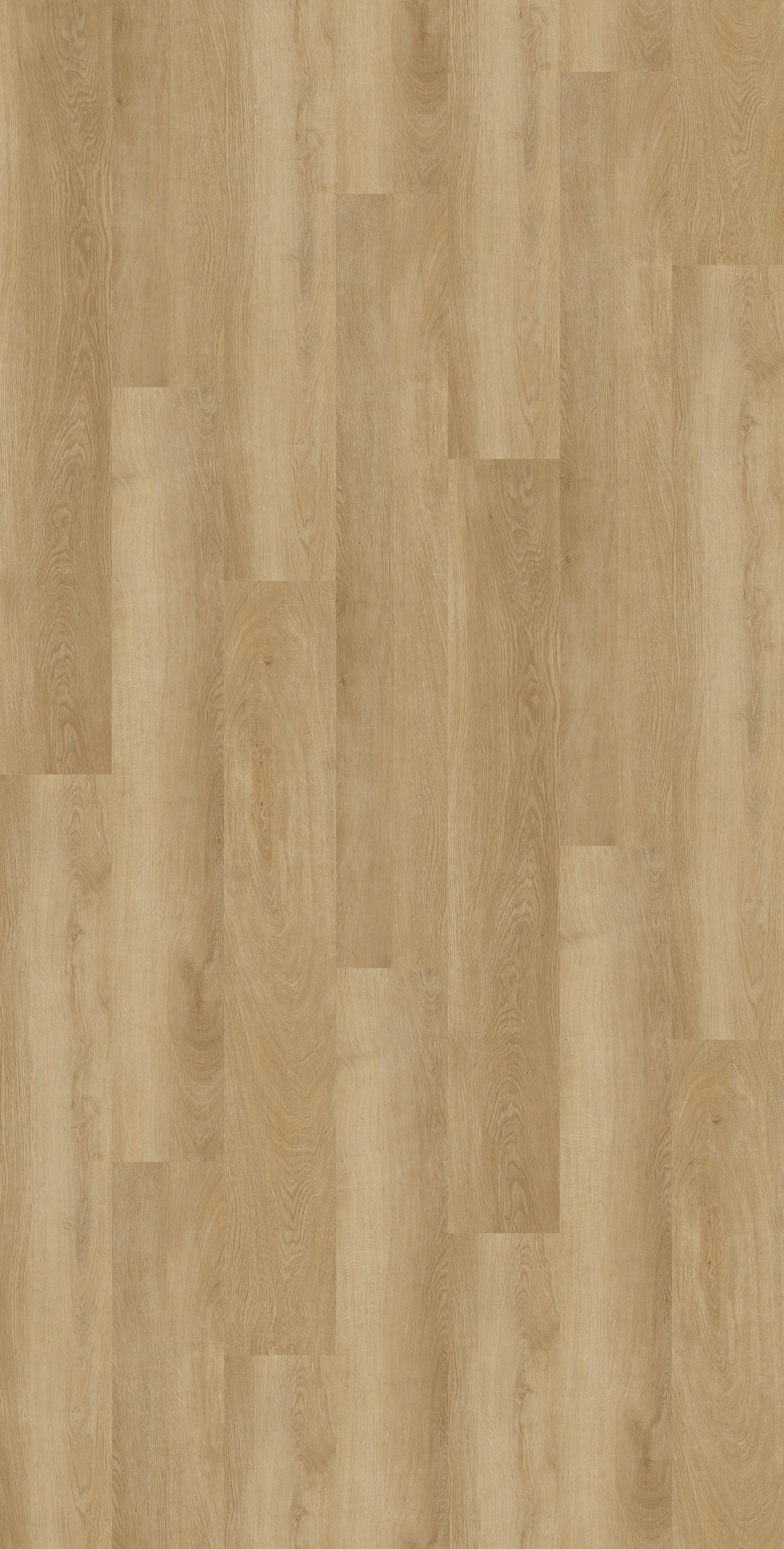 STELLA Ashen Oak L15/573
