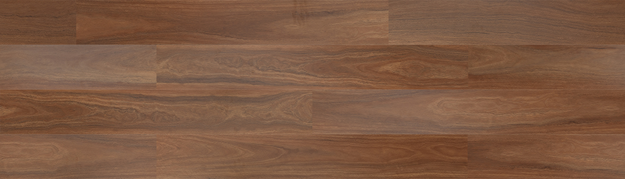 REACTION Spotted Gum