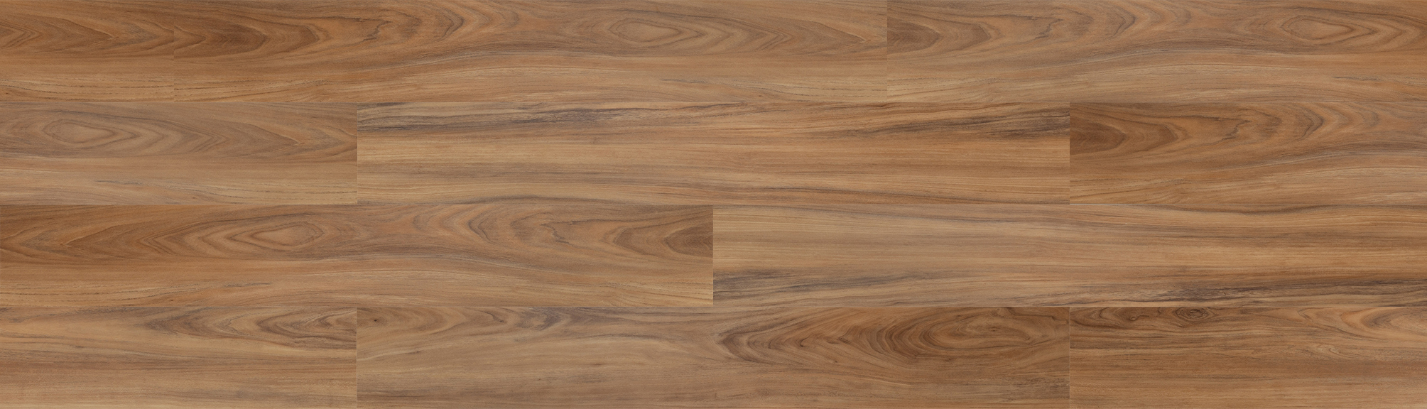REACTION Coastal Blackbutt
