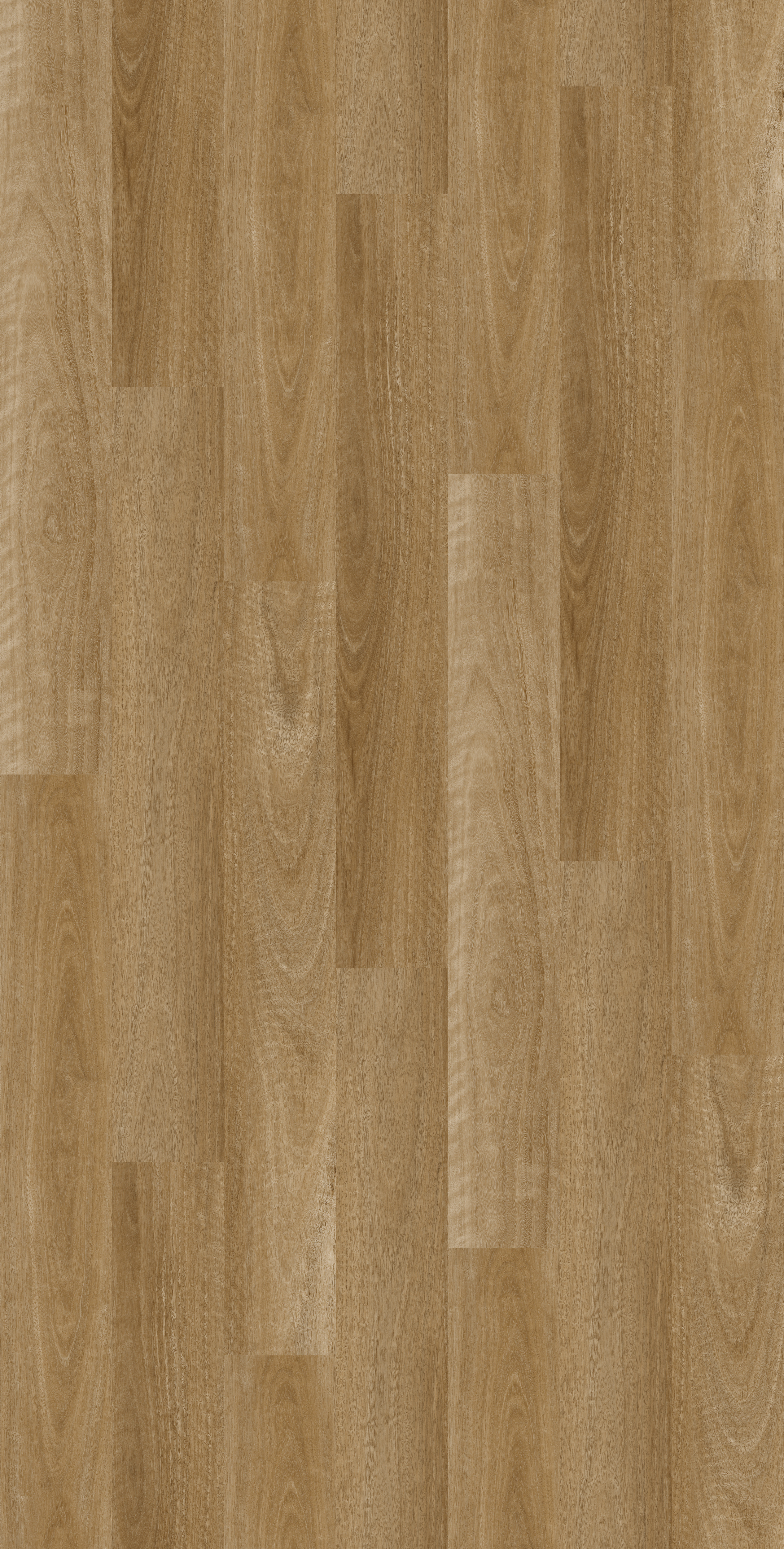STELLA Warm Spotted Gum L15/572