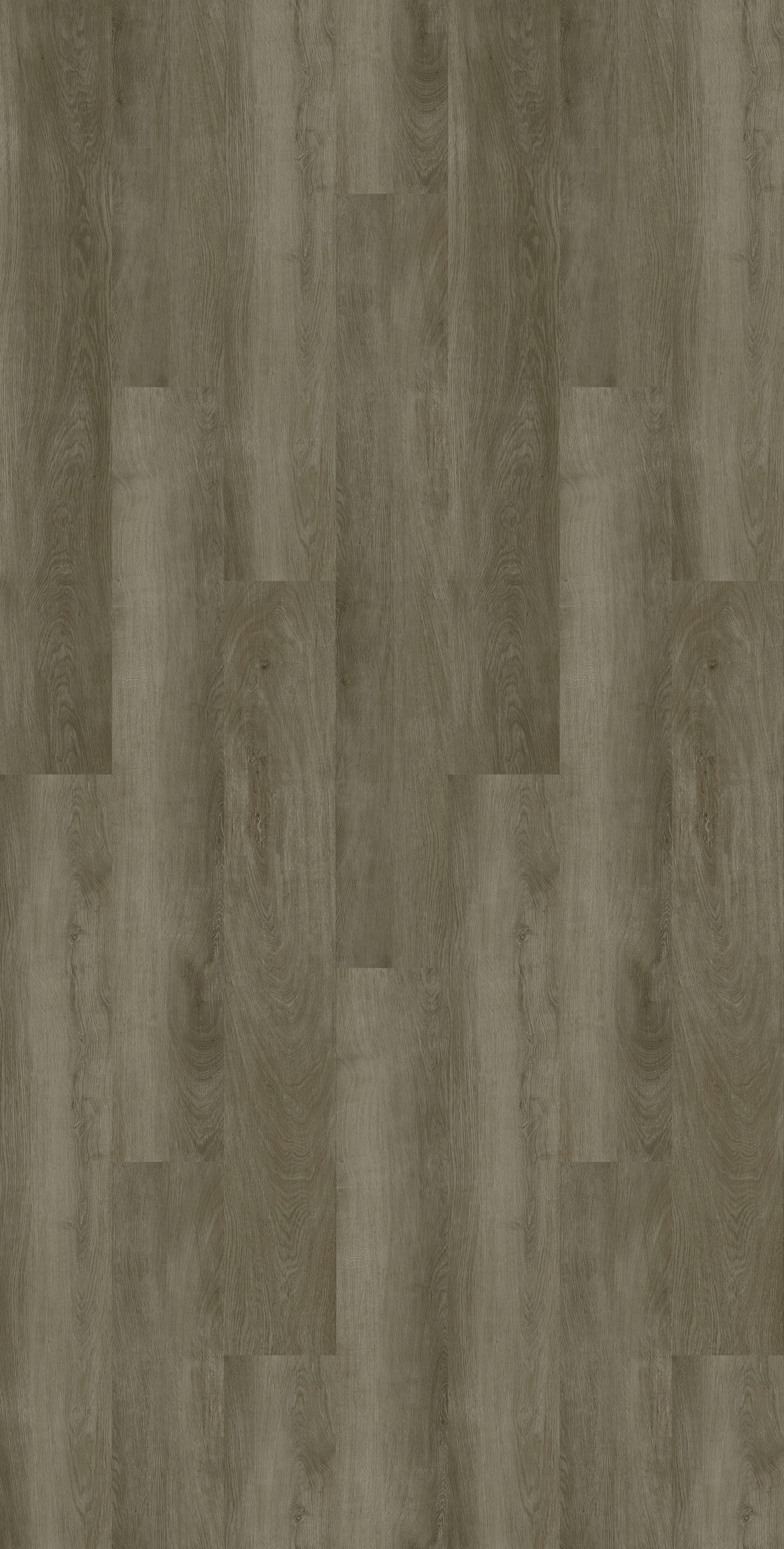 STELLA Oyster Grey L15/570