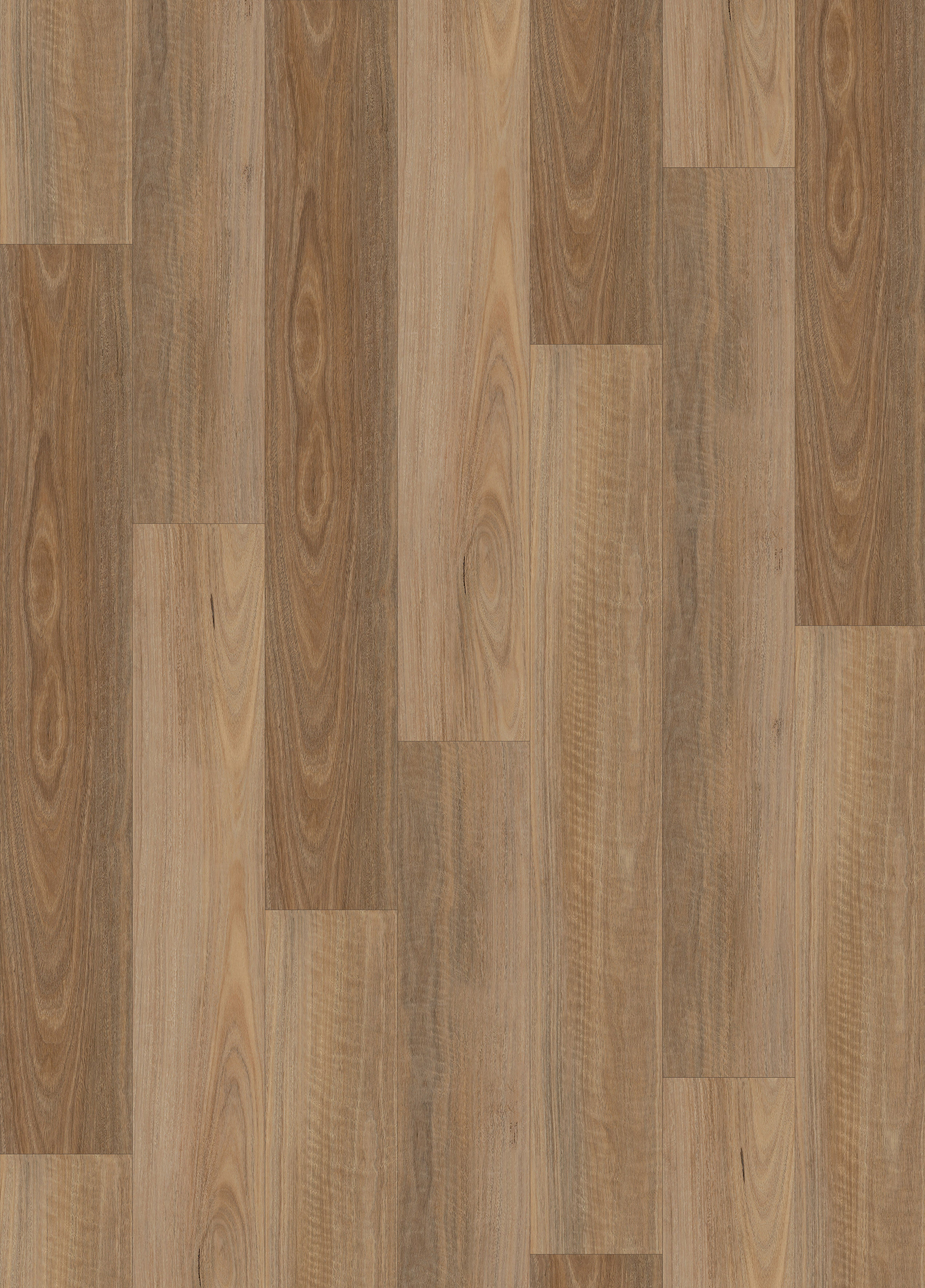Elmfield 2 MM Luxury Vinyl Tile COASTAL SPOTTED GUM
