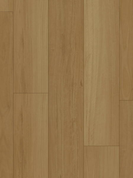 Wonderwood 6.5mm Hybrid Coastal Blackbutt 91201
