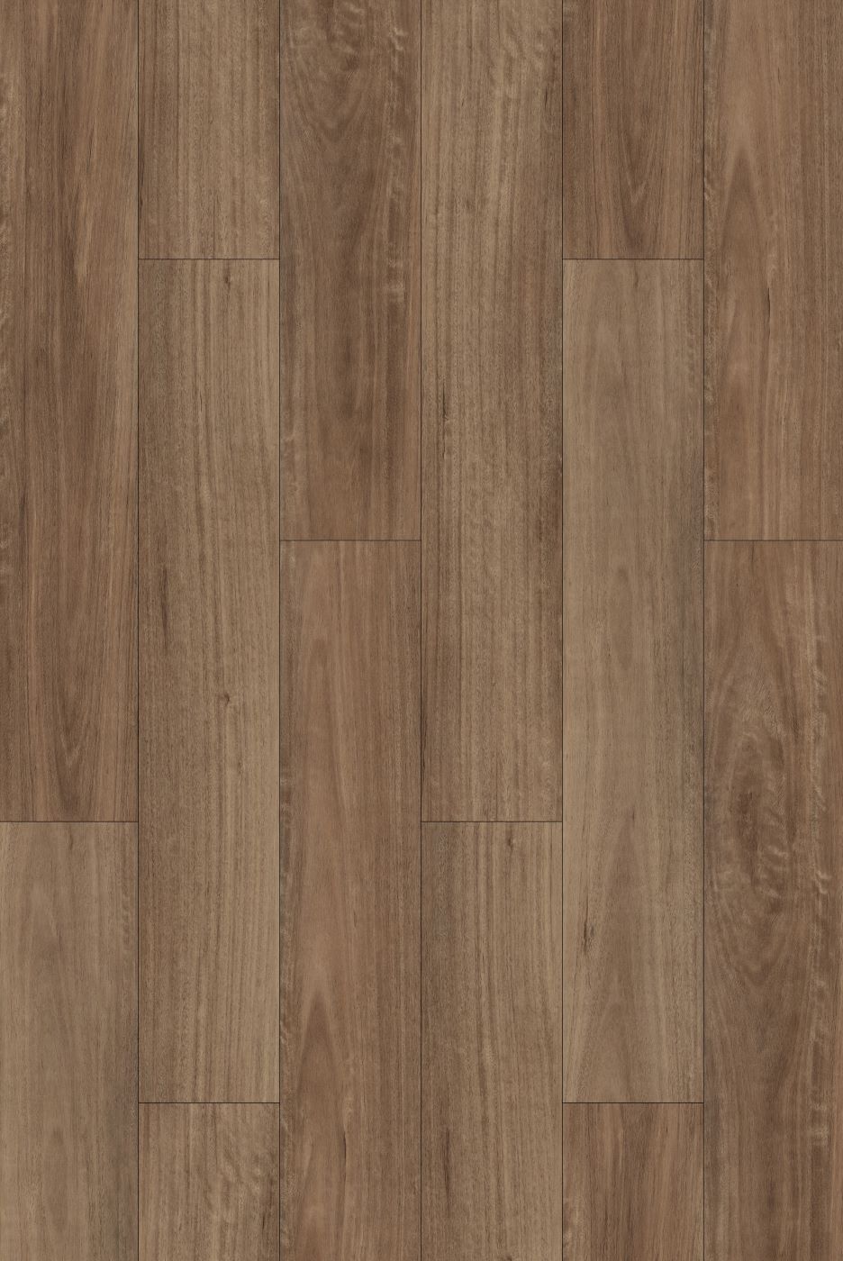 Laminate AC4 Hydromate Spotted Gum 12093