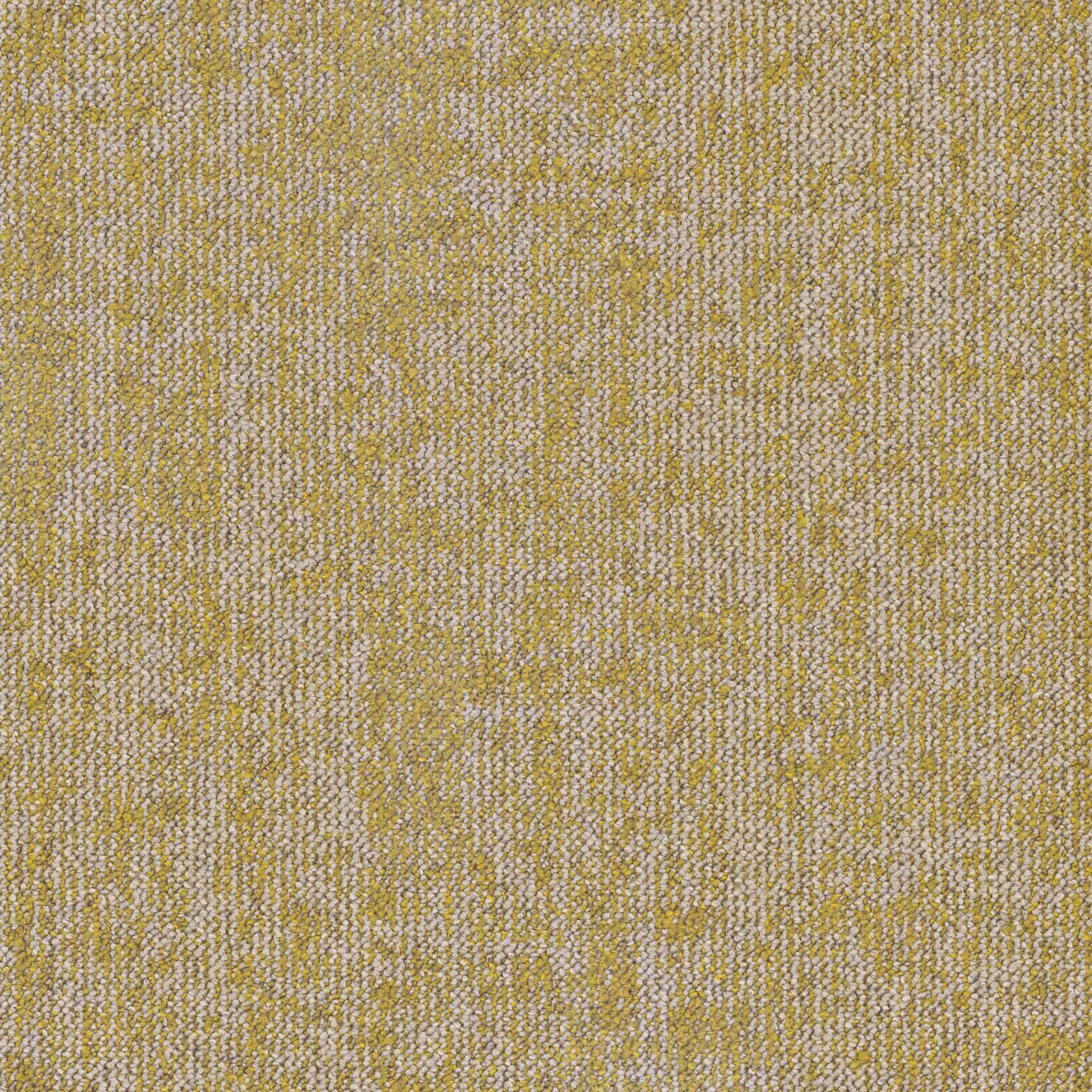 Essence Roots DESSO ESSENCE ROOTS  AD08 6322-V