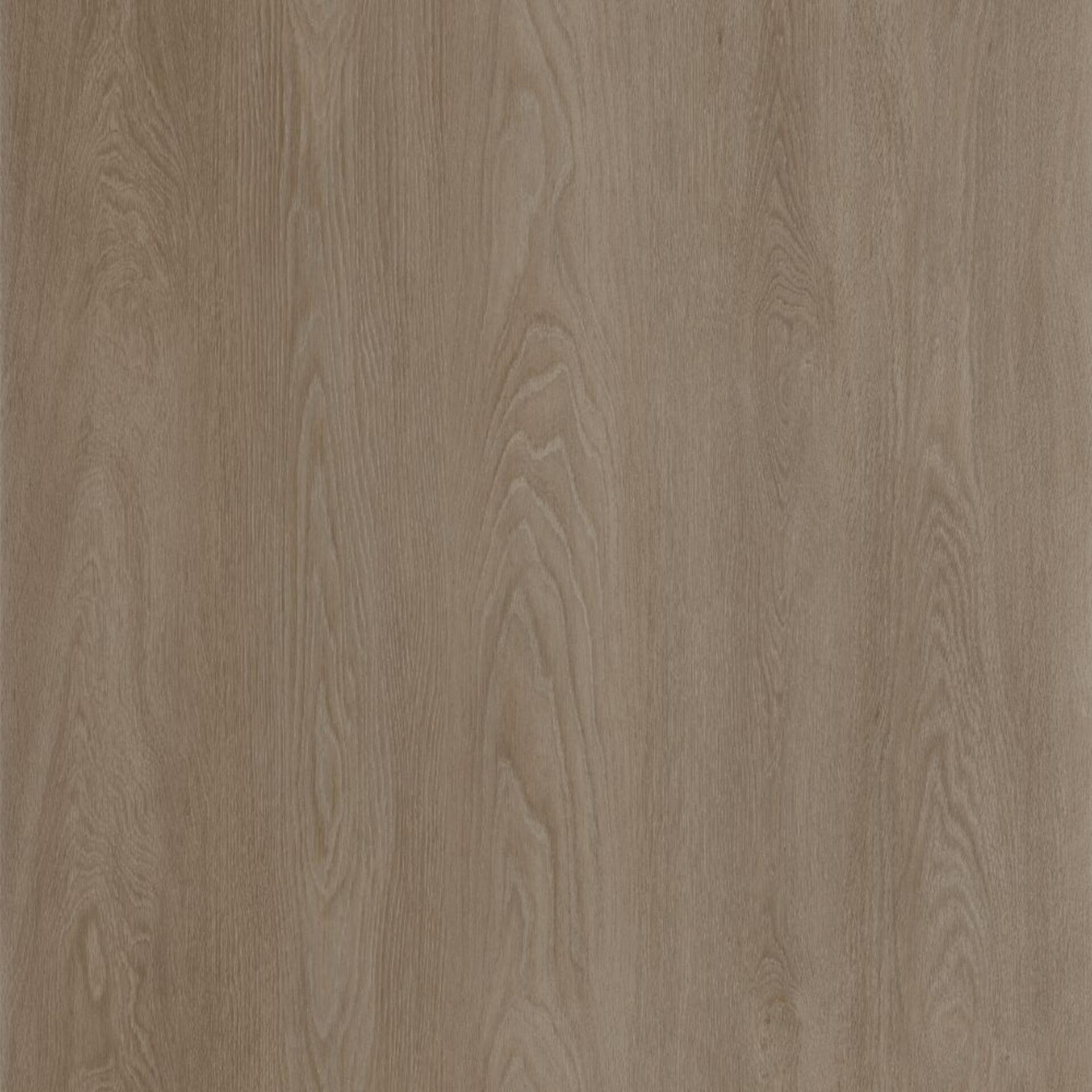 LIGHT BROWN OAK
