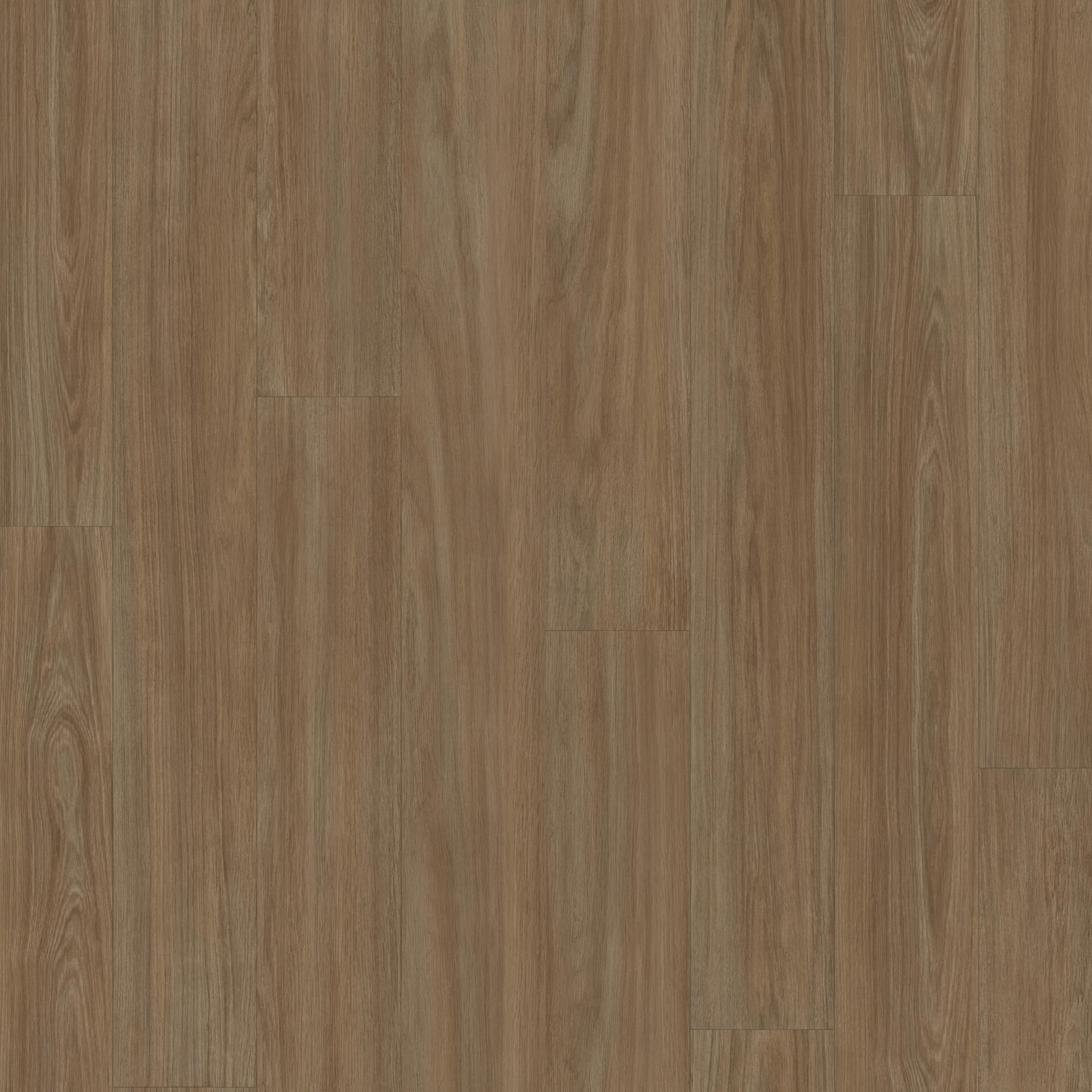 Tapiflex Excellence (19dB) Variant Oak Plank WARM BROWN