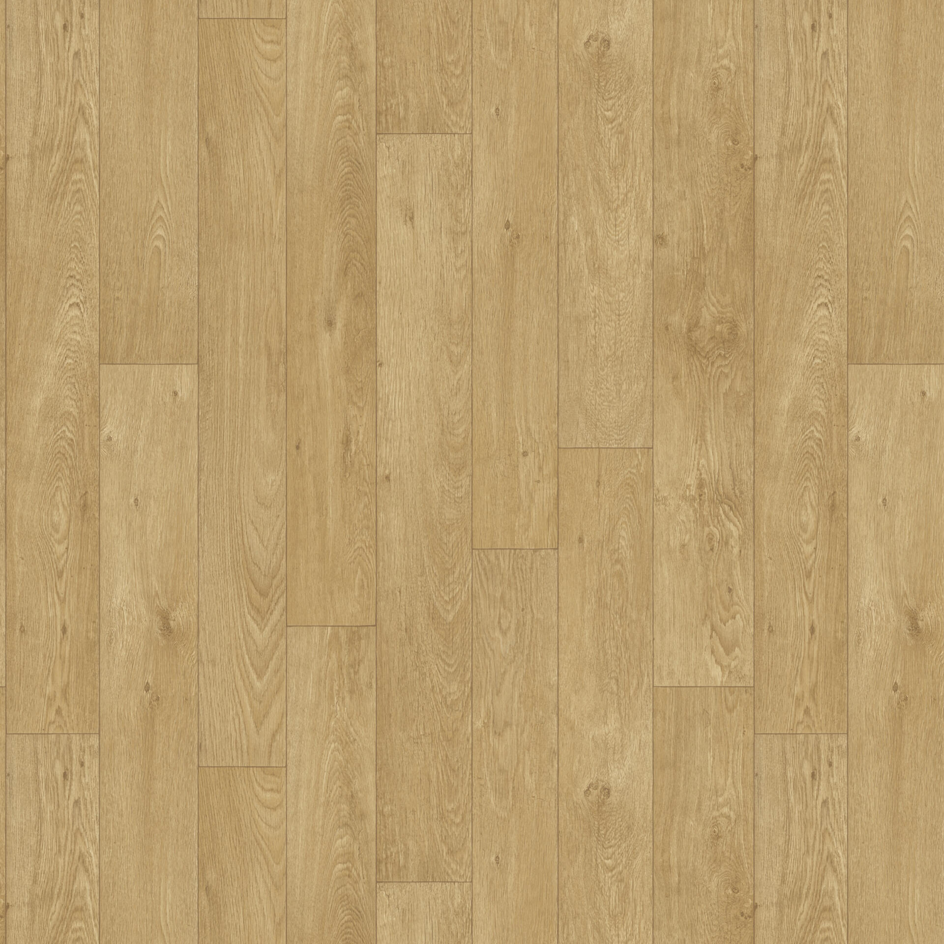 Ruby 70 Faro 2 NATURAL