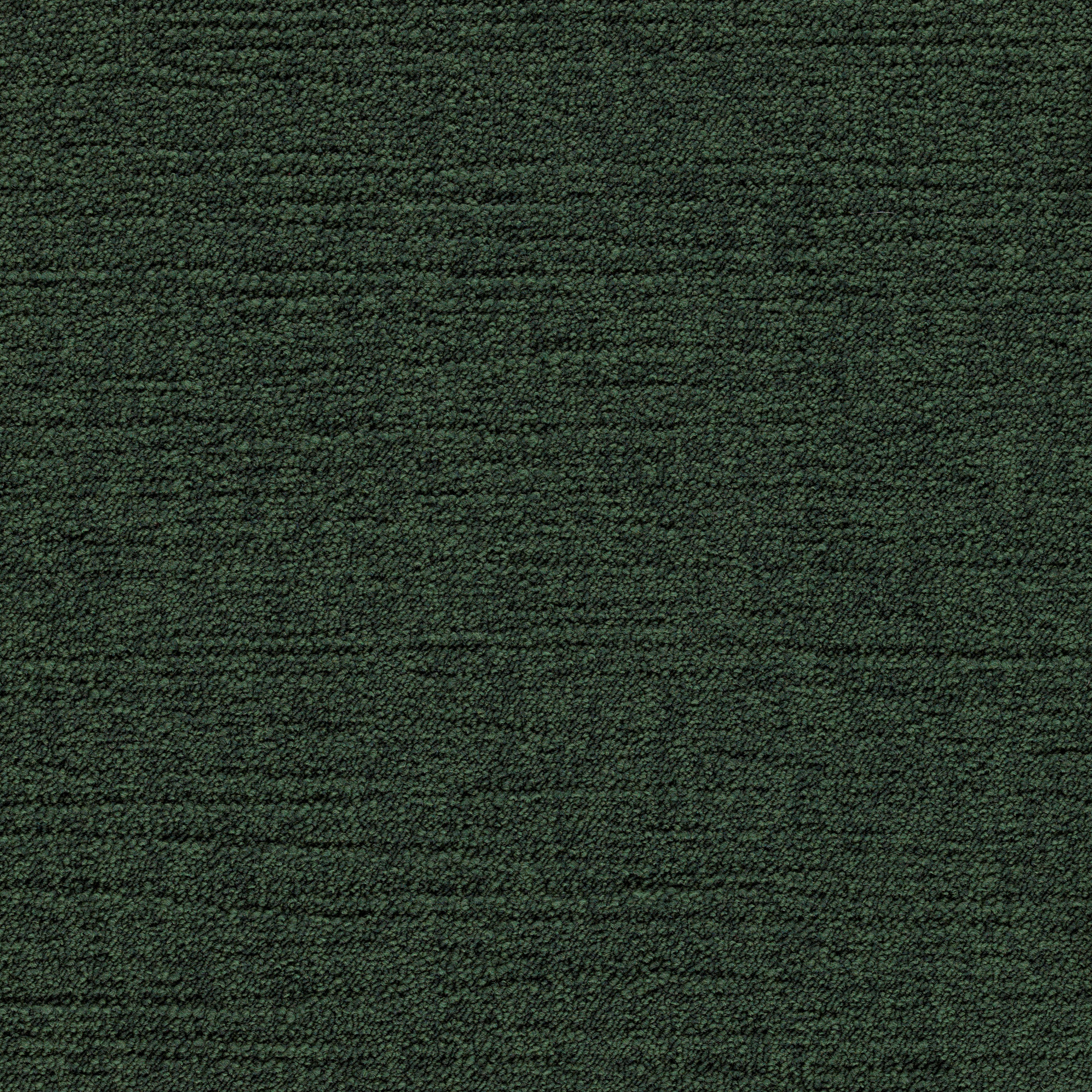 Elemental (QuietBack) Sorrel EL21