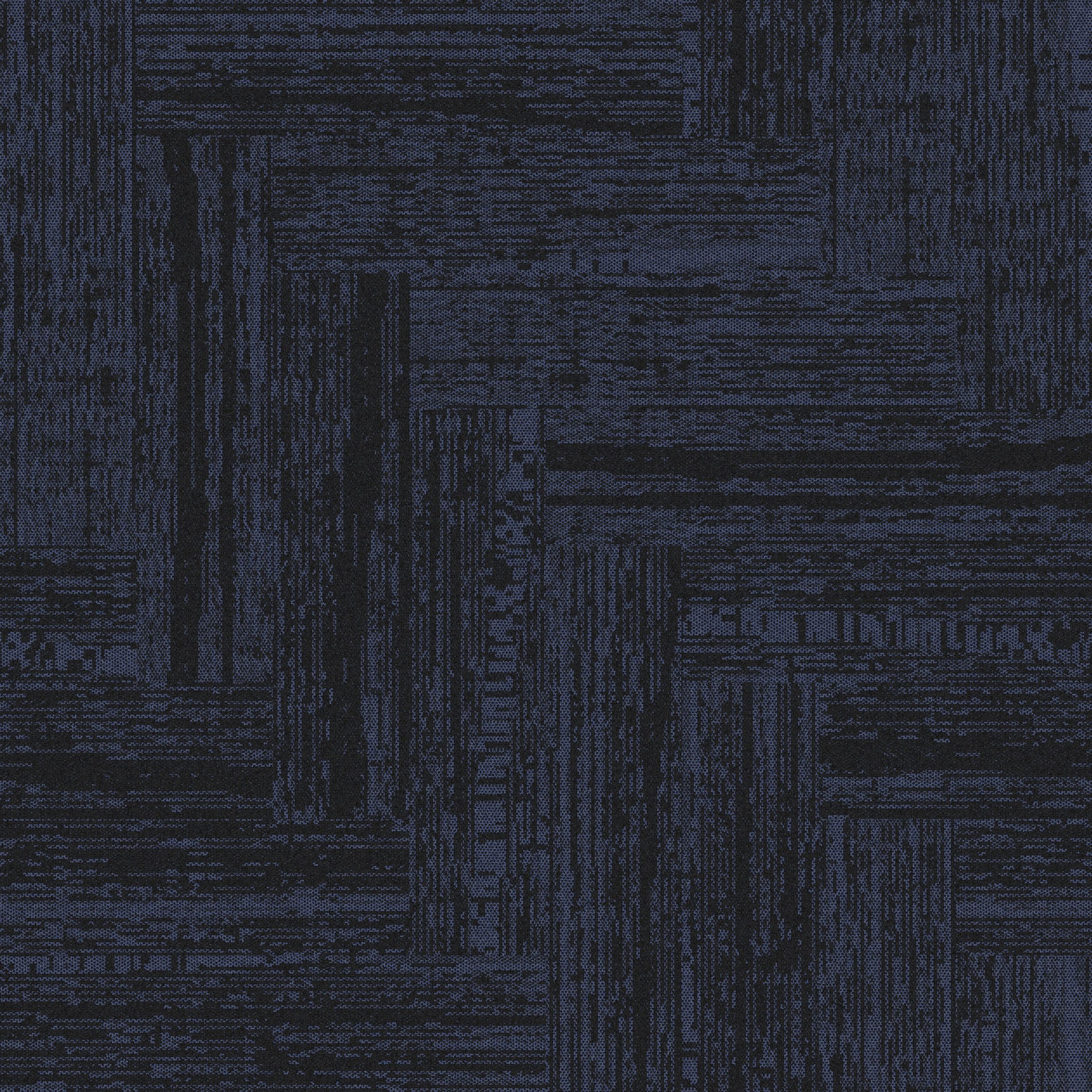 East Coast Foreshore