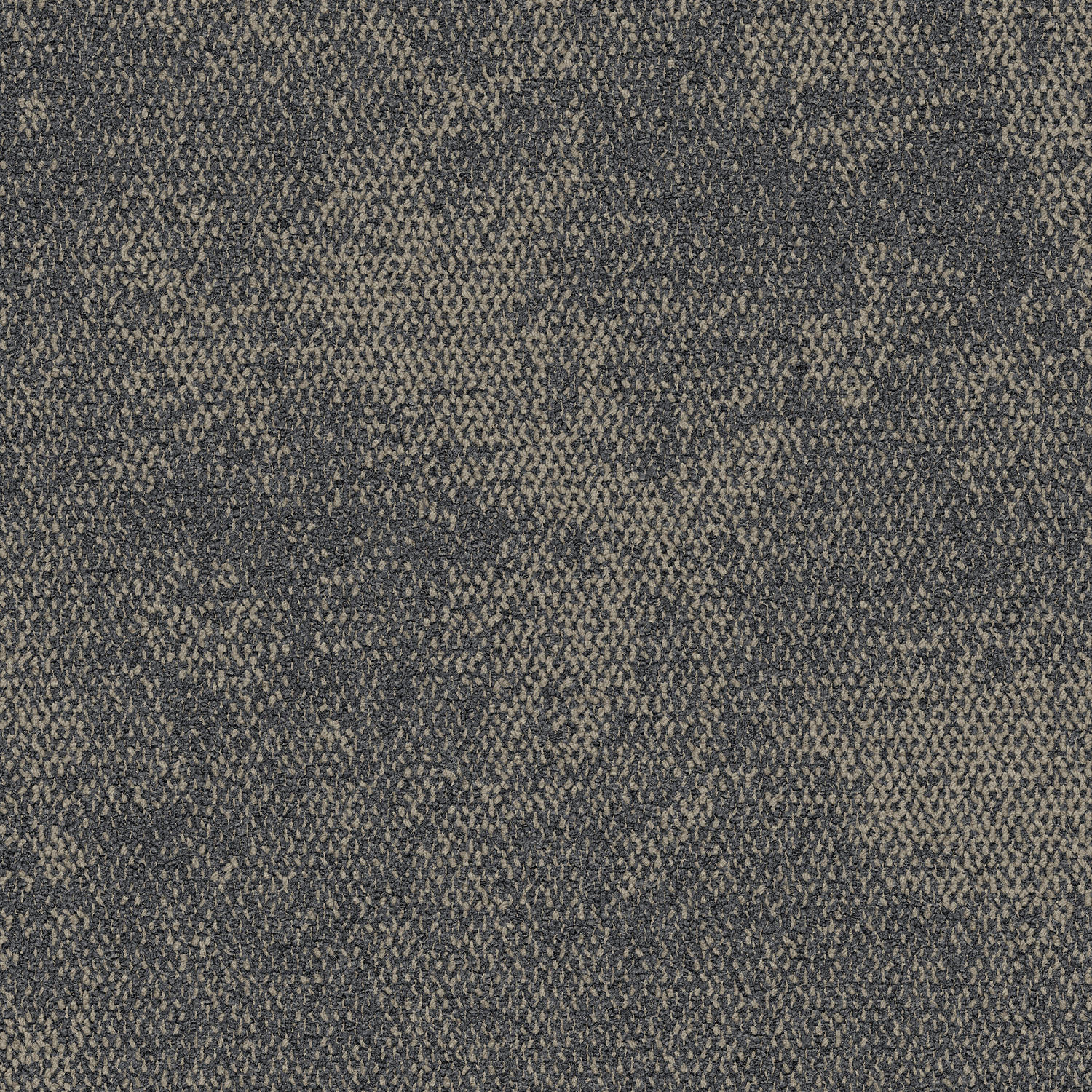 Composure Neutrals Intrepid