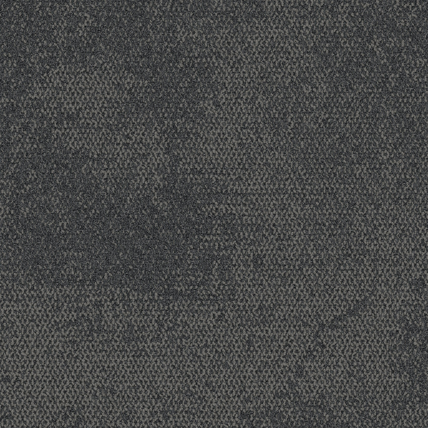 Composure Neutrals Image