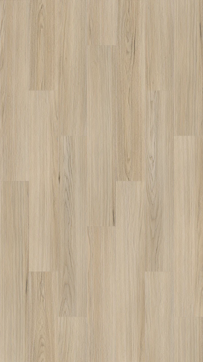 Queenstown 1.2 Newtown