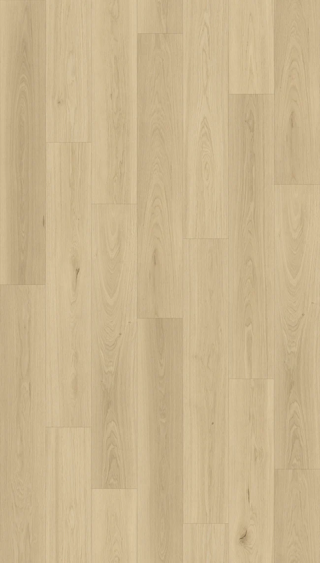 Queenstown 1.2 Kingston