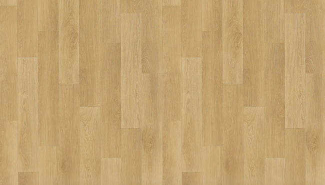 Timberline Plus Too Right Plus