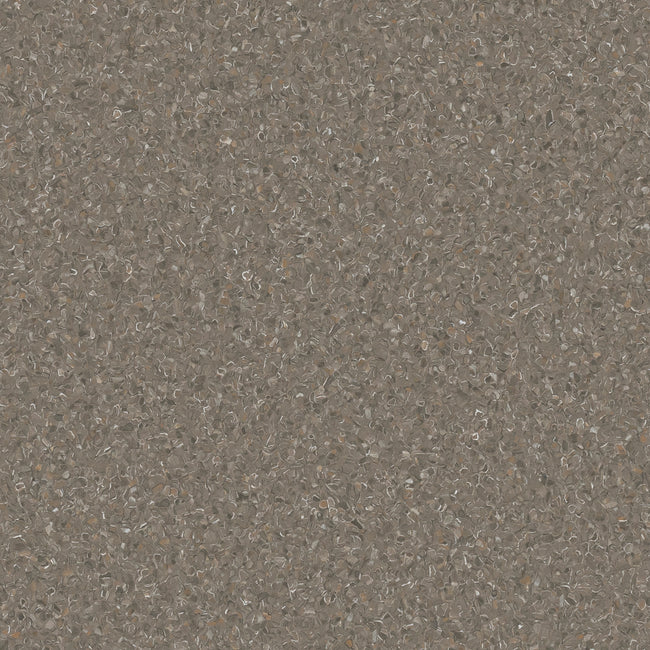 Accolade Plus Snapper Rocks