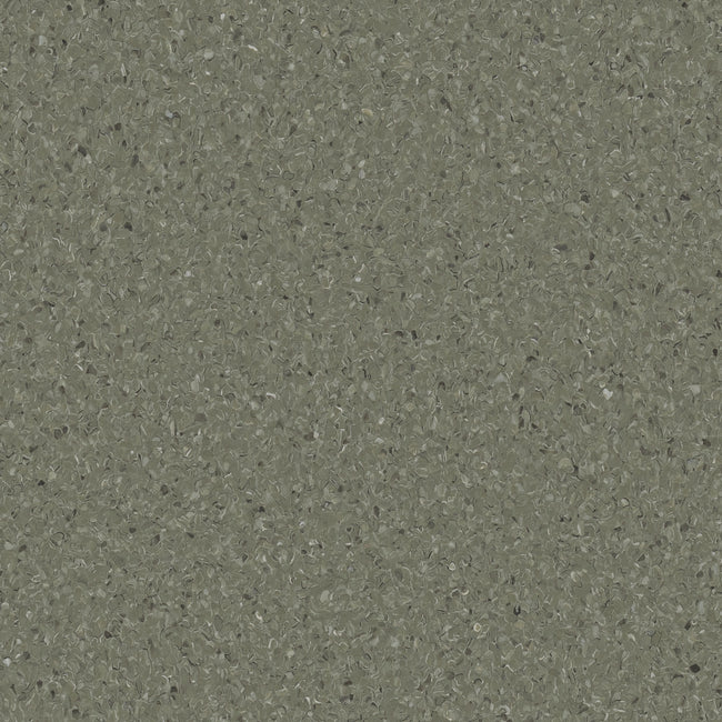 Accolade Plus Mangrove