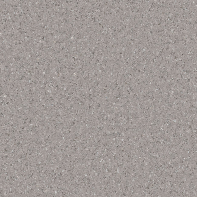 Accolade Plus Darling Grey