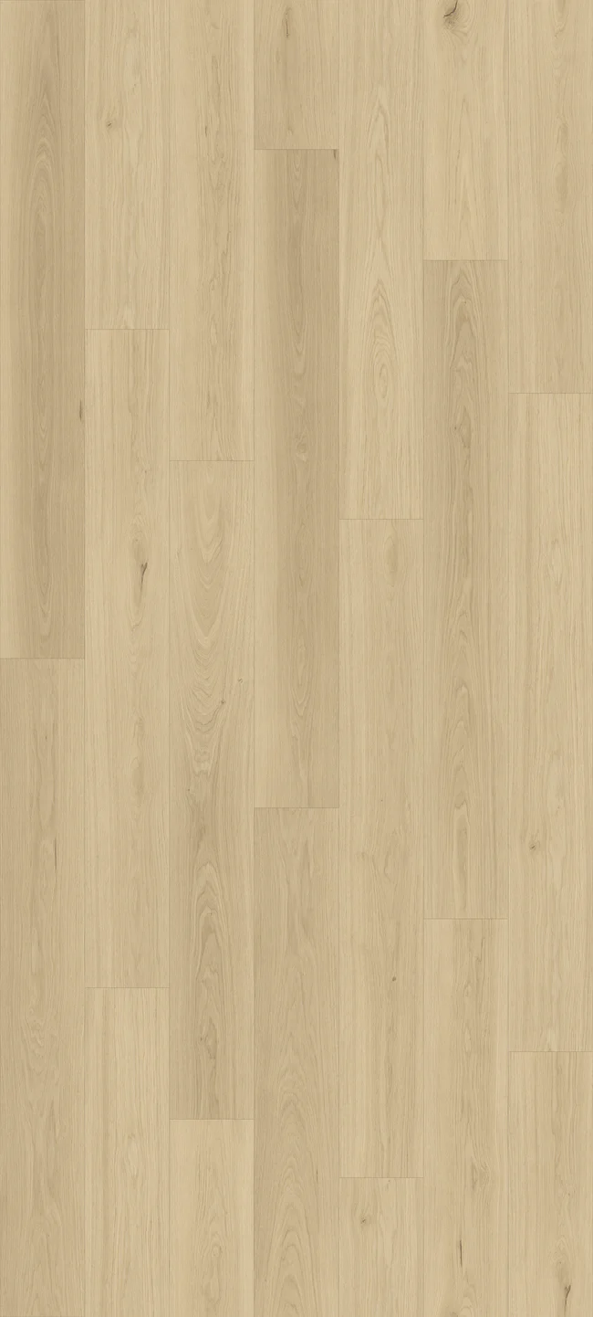 Queenstown 1.5 Kingston